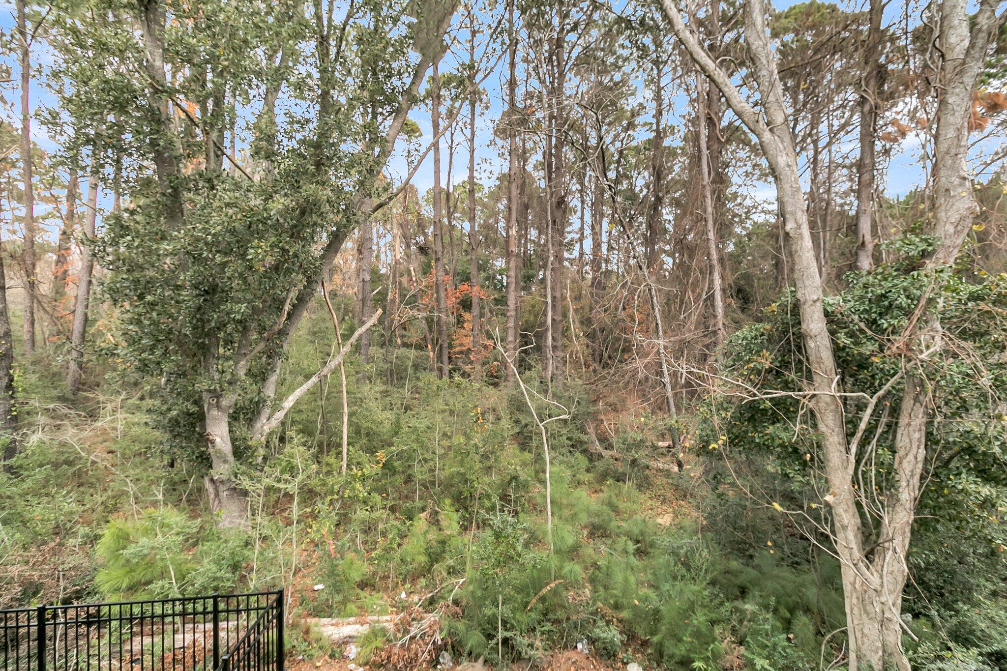 1078 Capersview Court