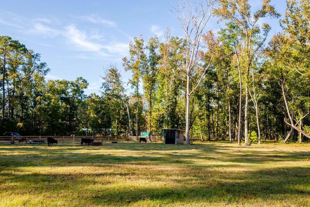 7035 Ethel Post Office Road