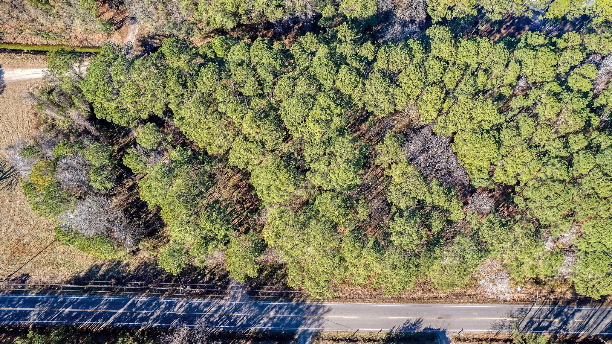 000 Highway 162