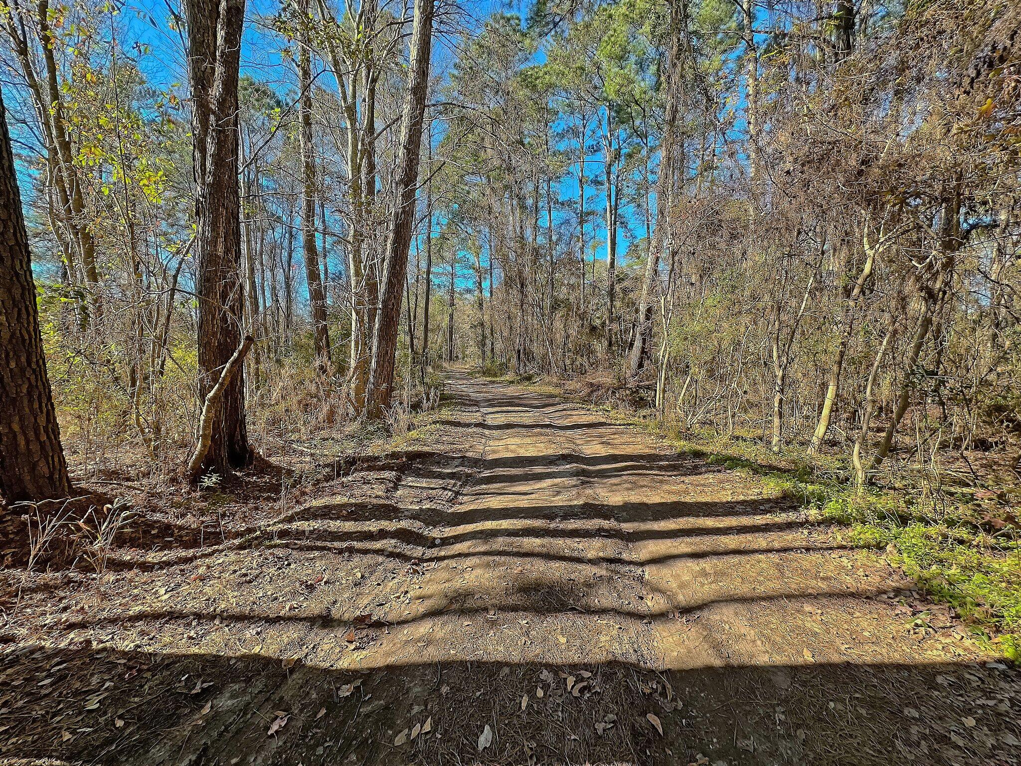 000 Highway 162