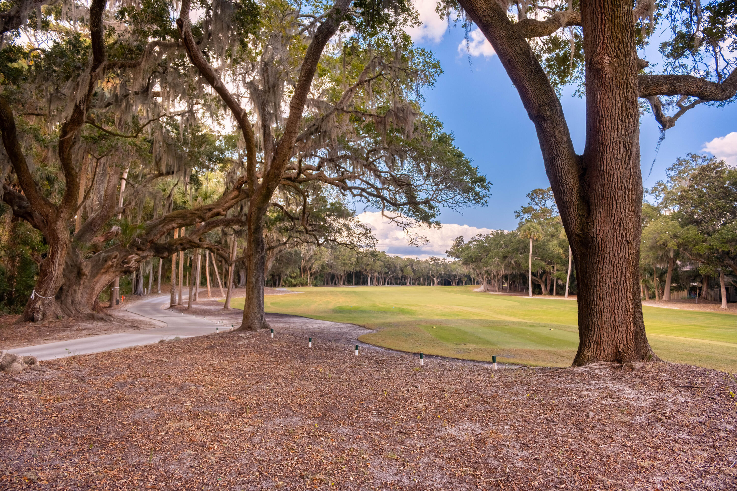 1115 Summerwind Lane