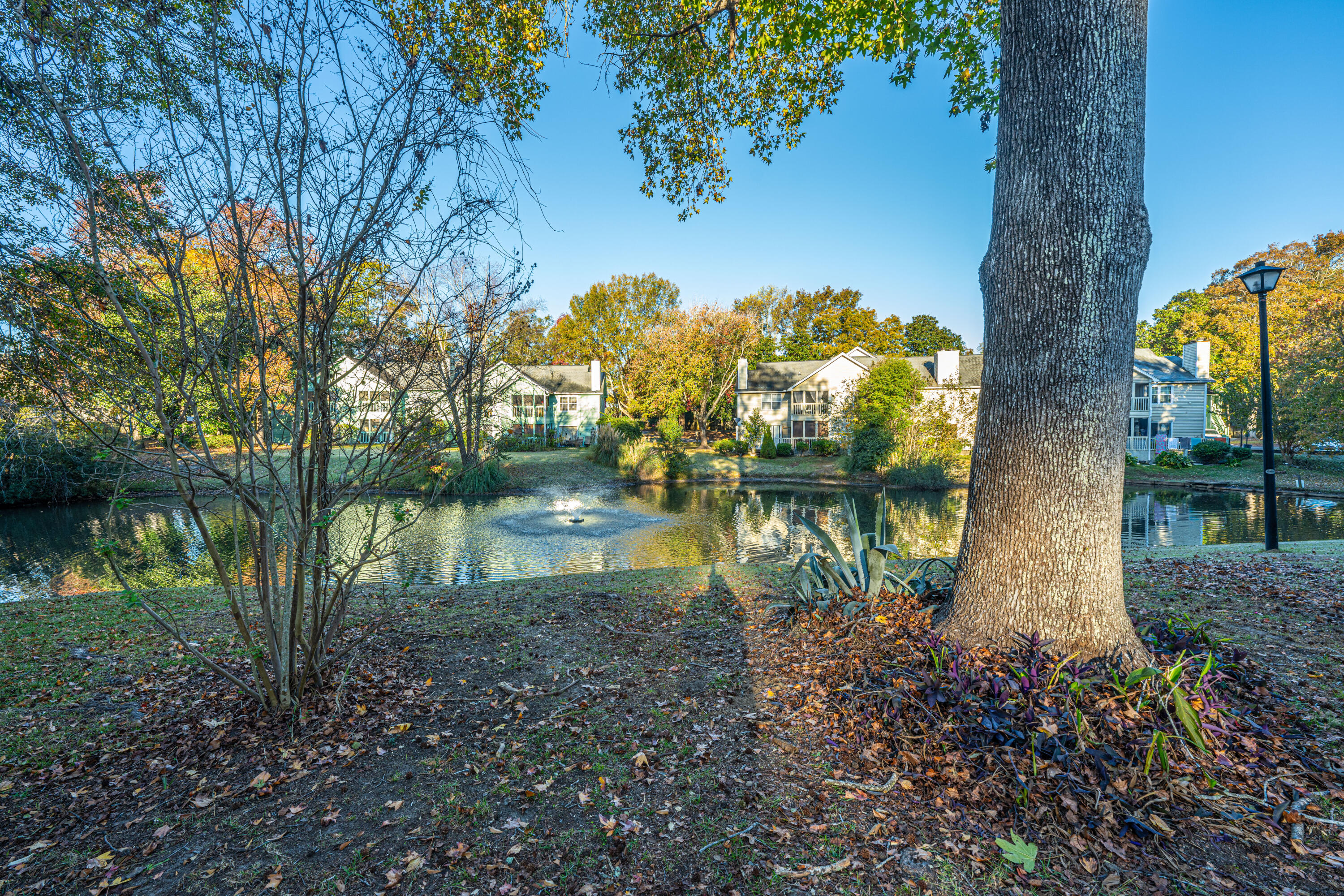 2010 Coldspring Drive # 501