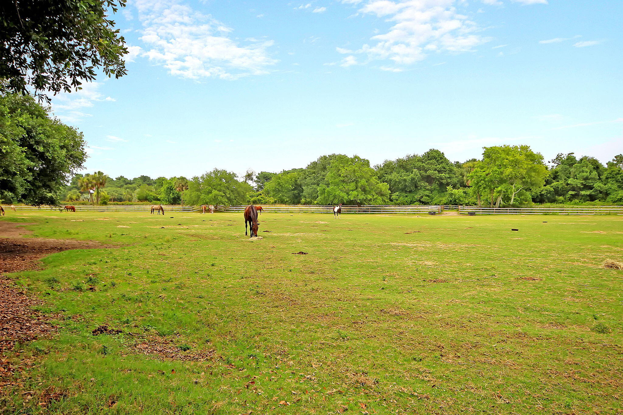 626 Double Eagle Trace