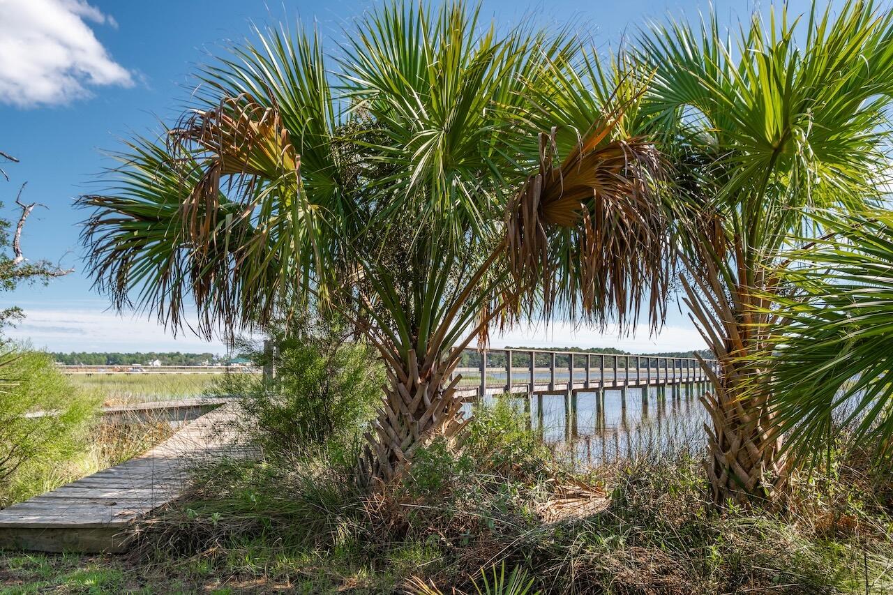 4638 Cape Island Drive