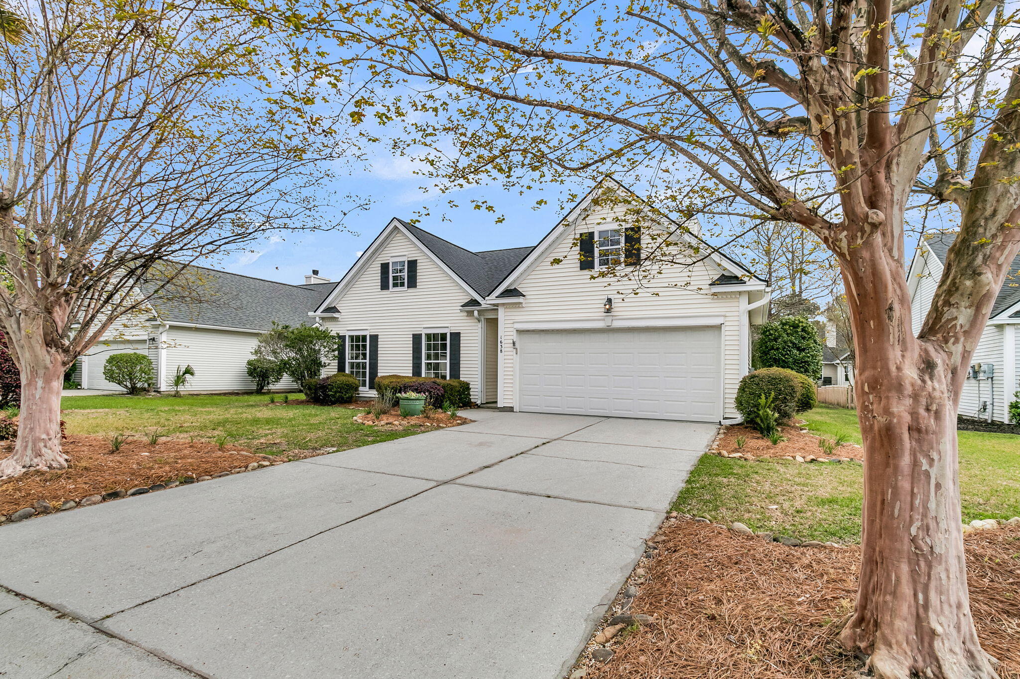 1638 Pin Oak Cut