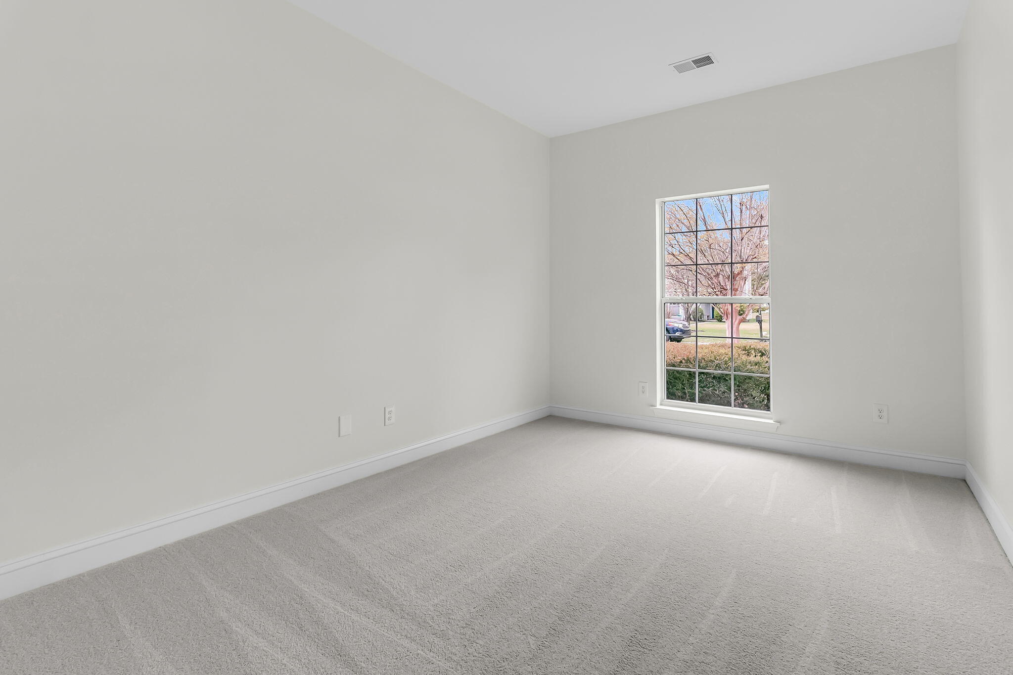 1638 Pin Oak Cut