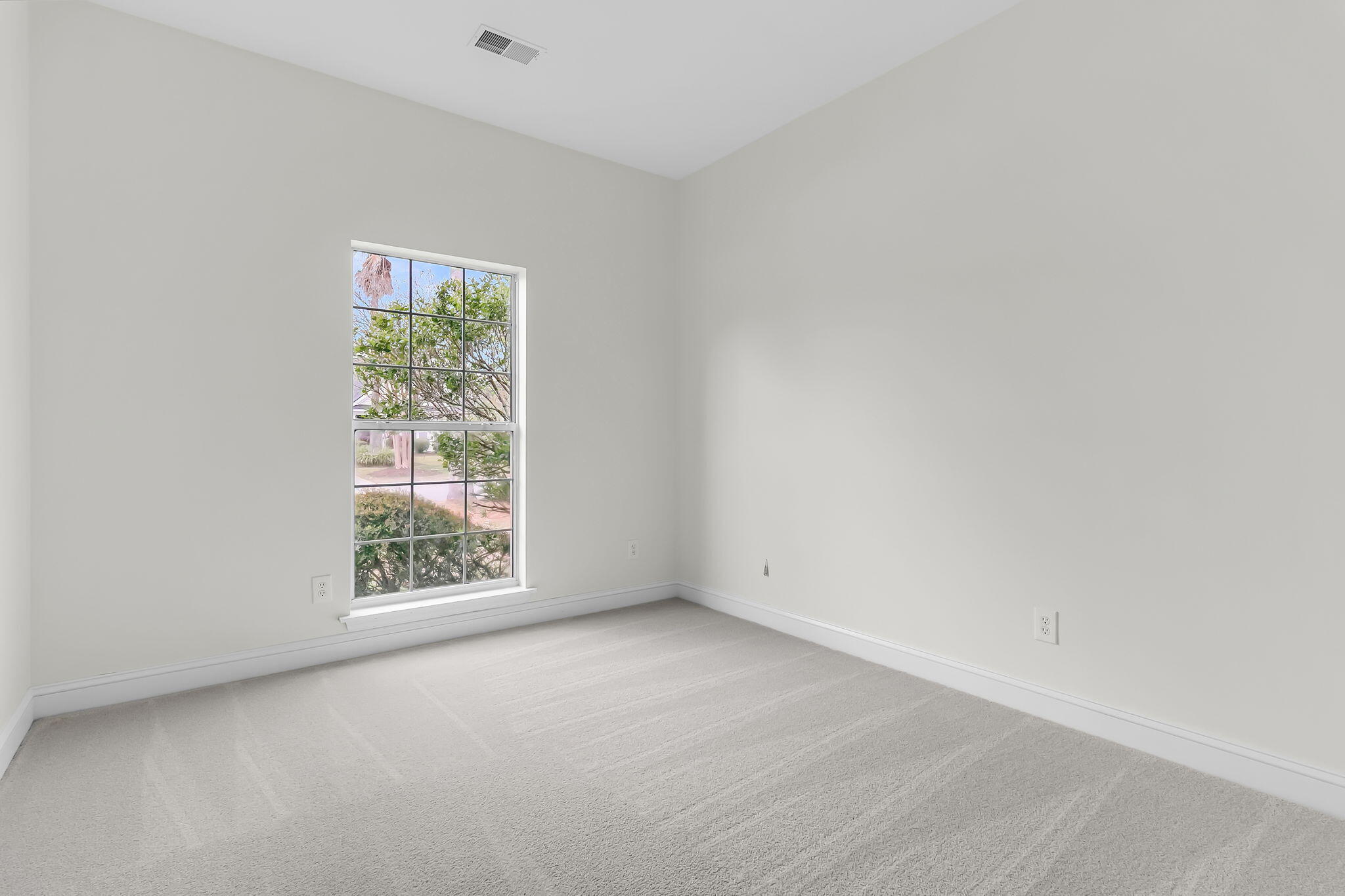 1638 Pin Oak Cut