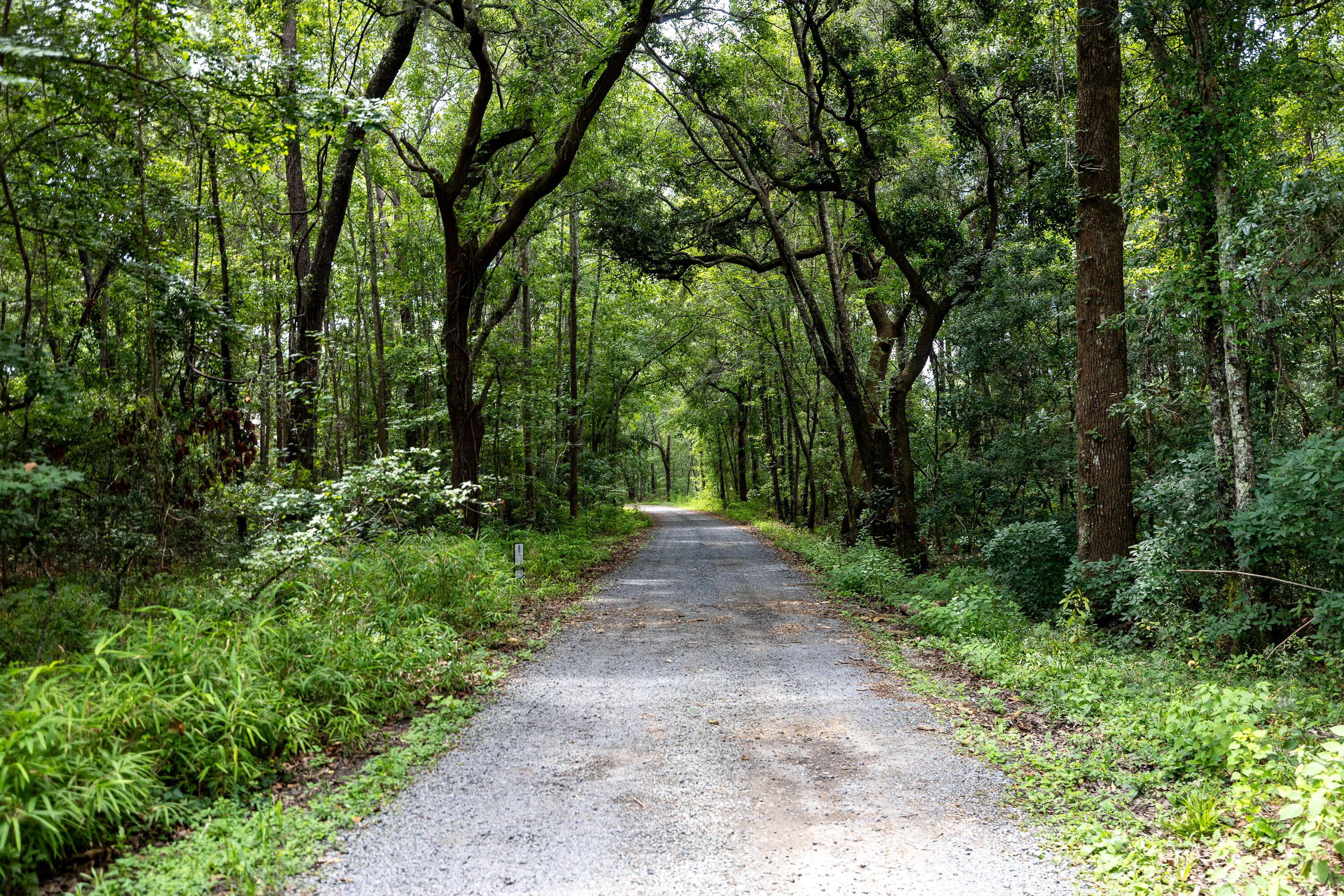 00 Corbetts Alley Lot 14