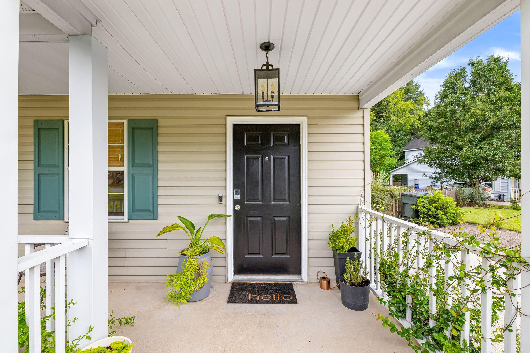 12 Palmetto Park Road