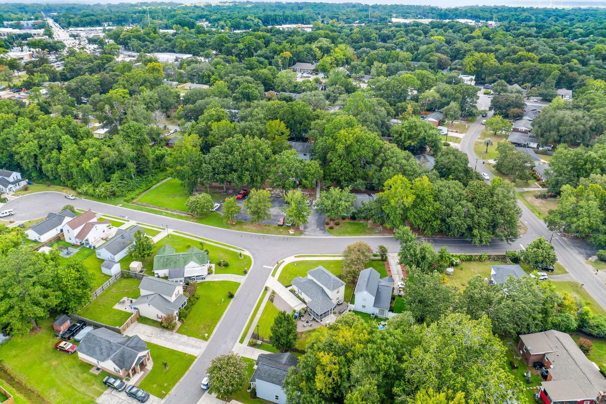 12 Palmetto Park Road