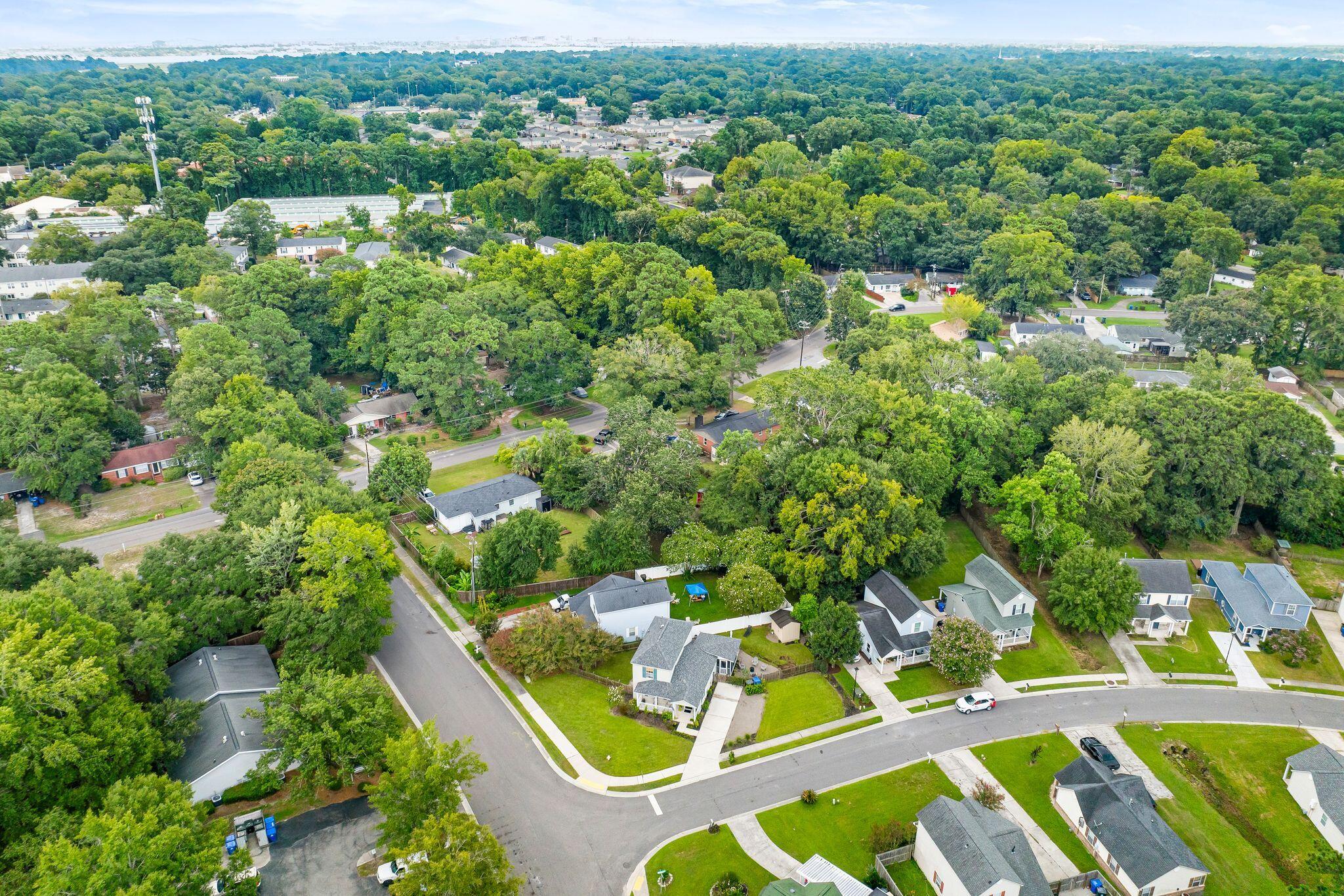 12 Palmetto Park Road