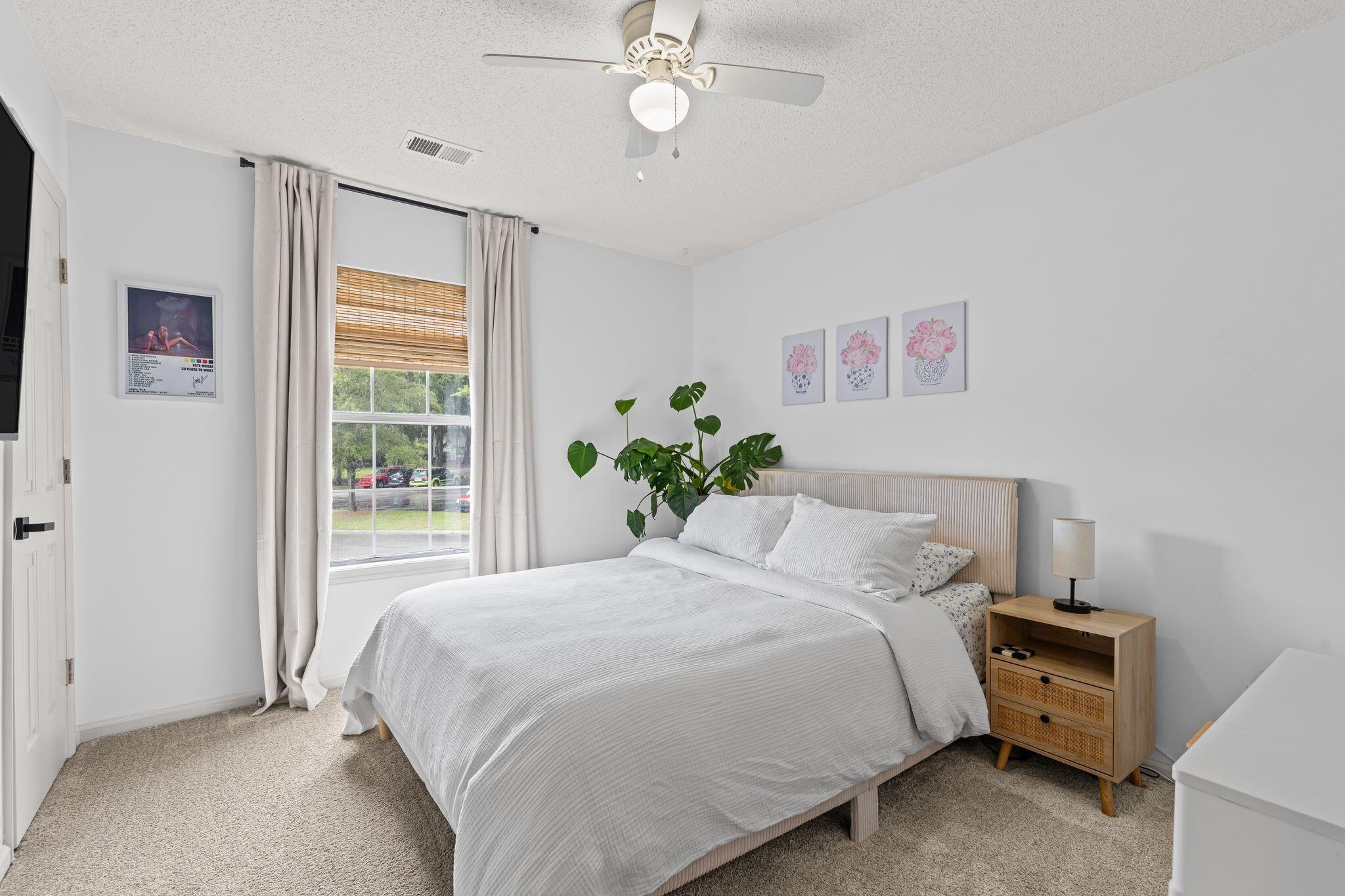 12 Palmetto Park Road