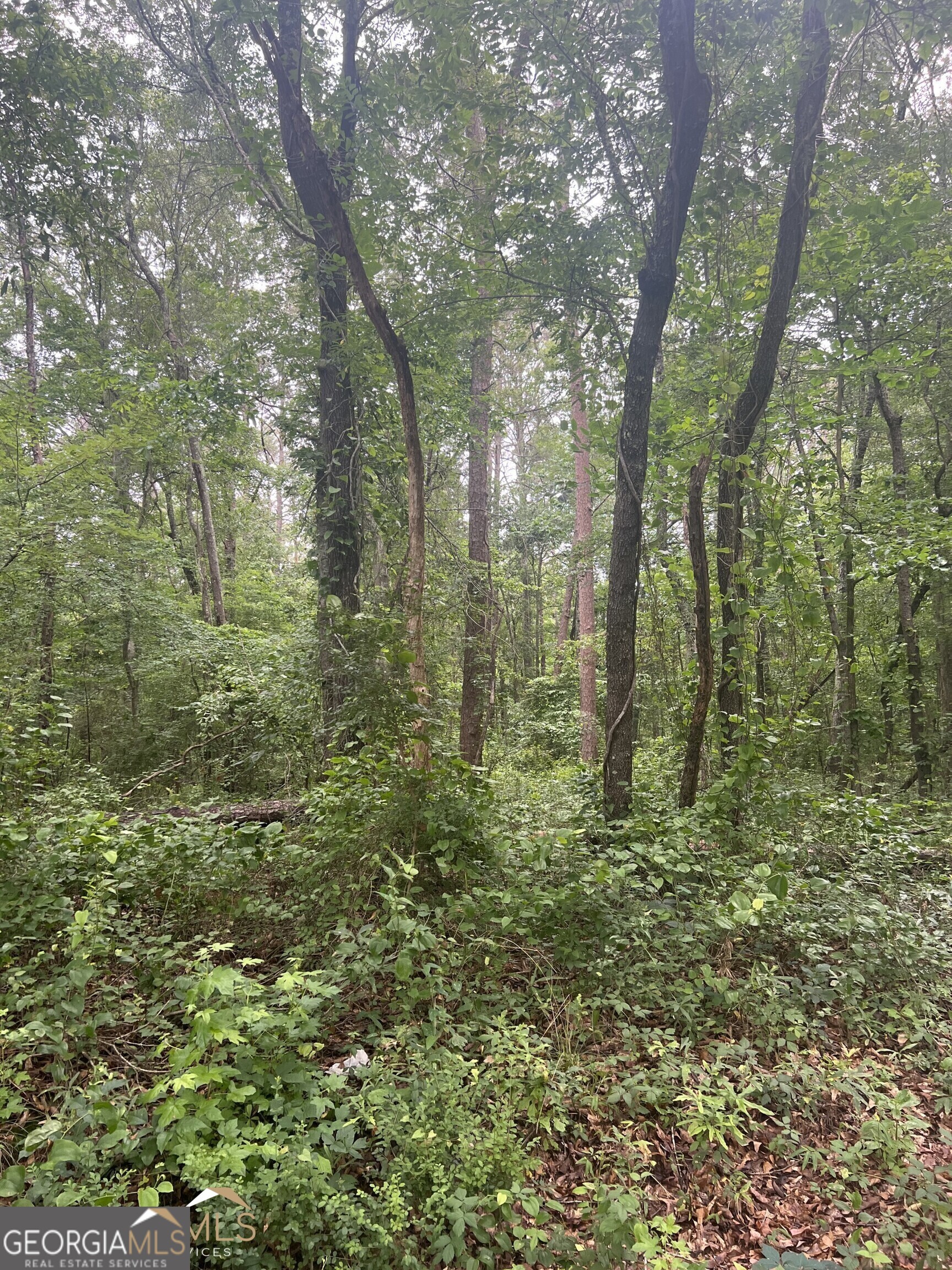 2140 Dry Pond Road # 3 Unit: TRACT 3