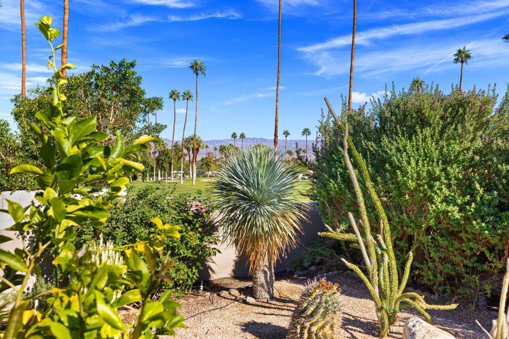 46310 Burroweed Lane