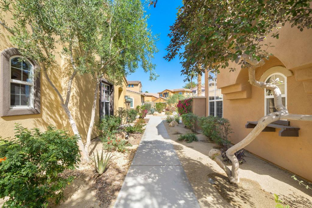 52230 Desert Spoon Court