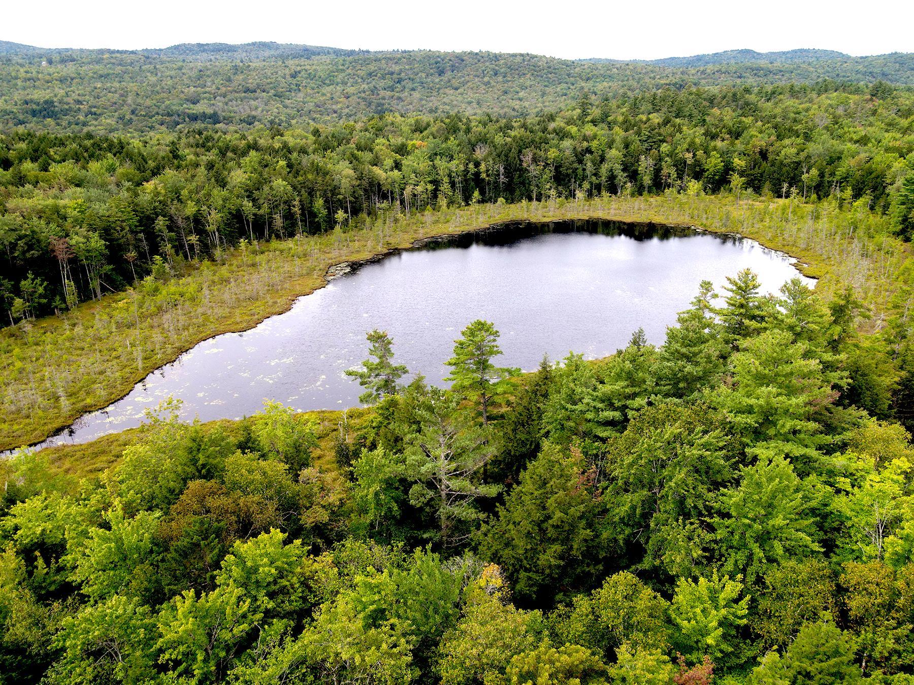 33 Whitney Pond Road