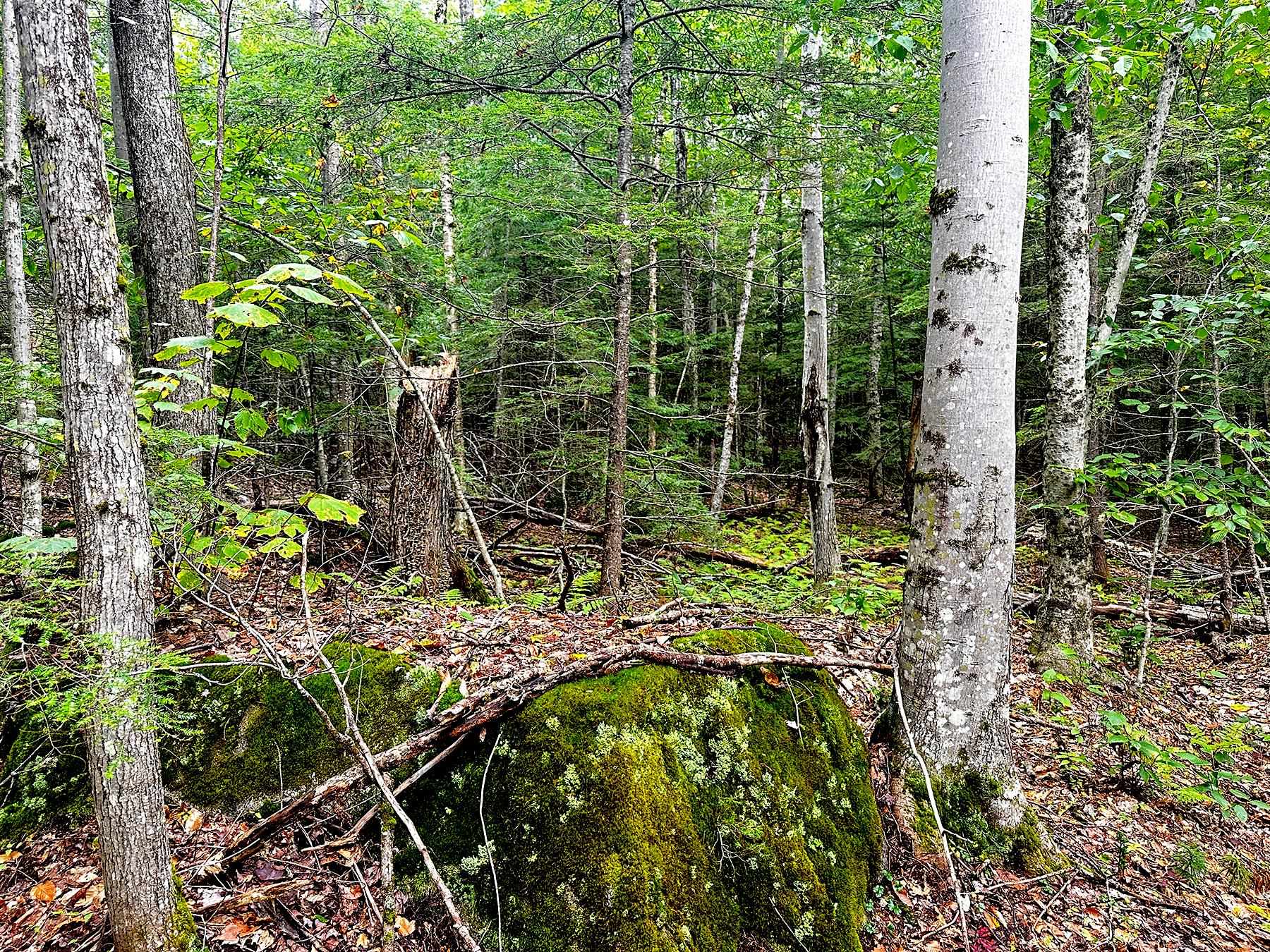 33 Whitney Pond Road