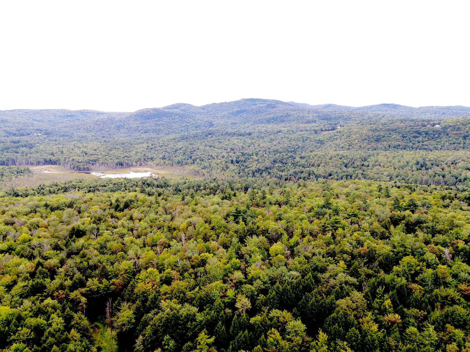 33 Whitney Pond Road