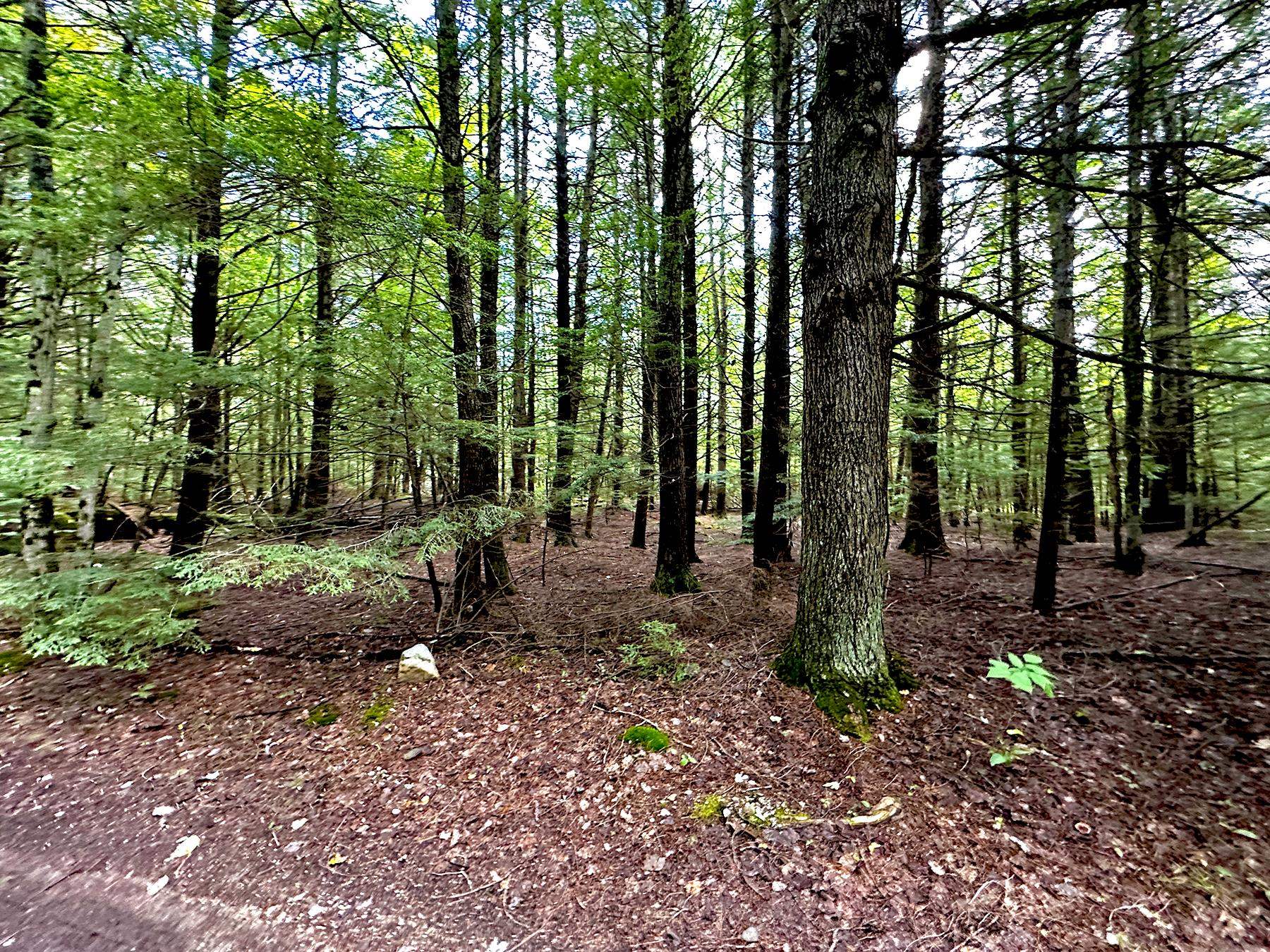 33 Whitney Pond Road