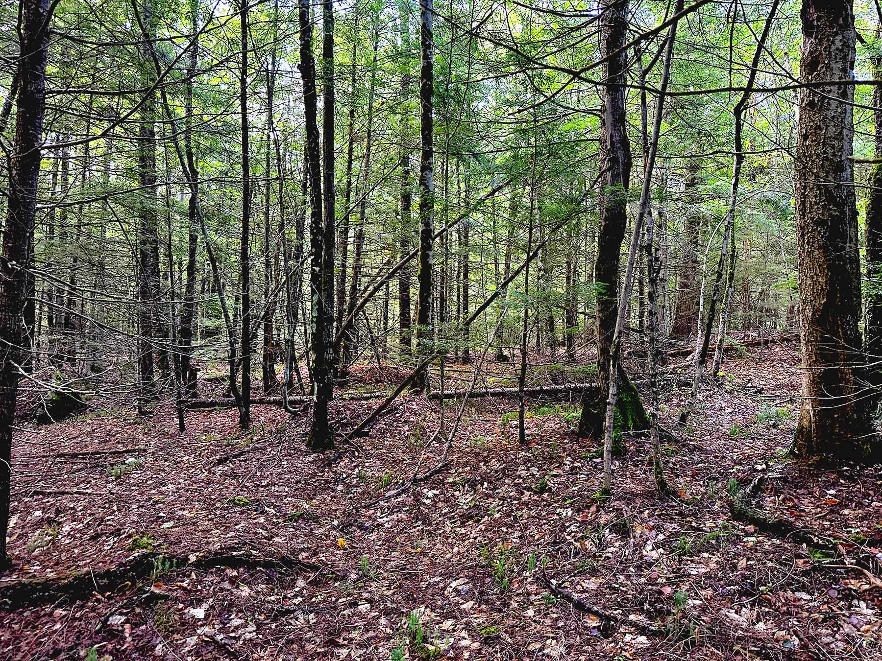 33 Whitney Pond Road