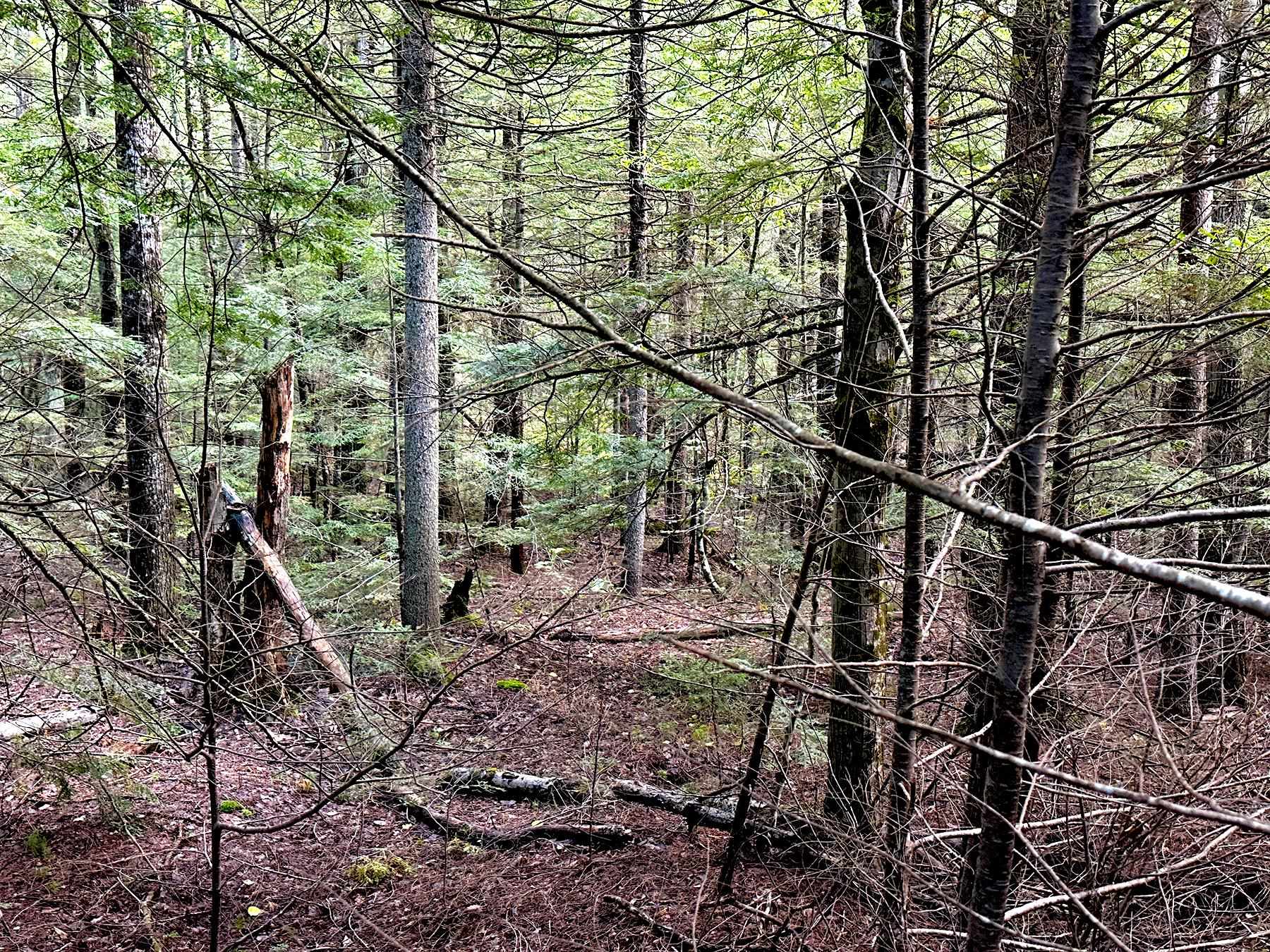 33 Whitney Pond Road
