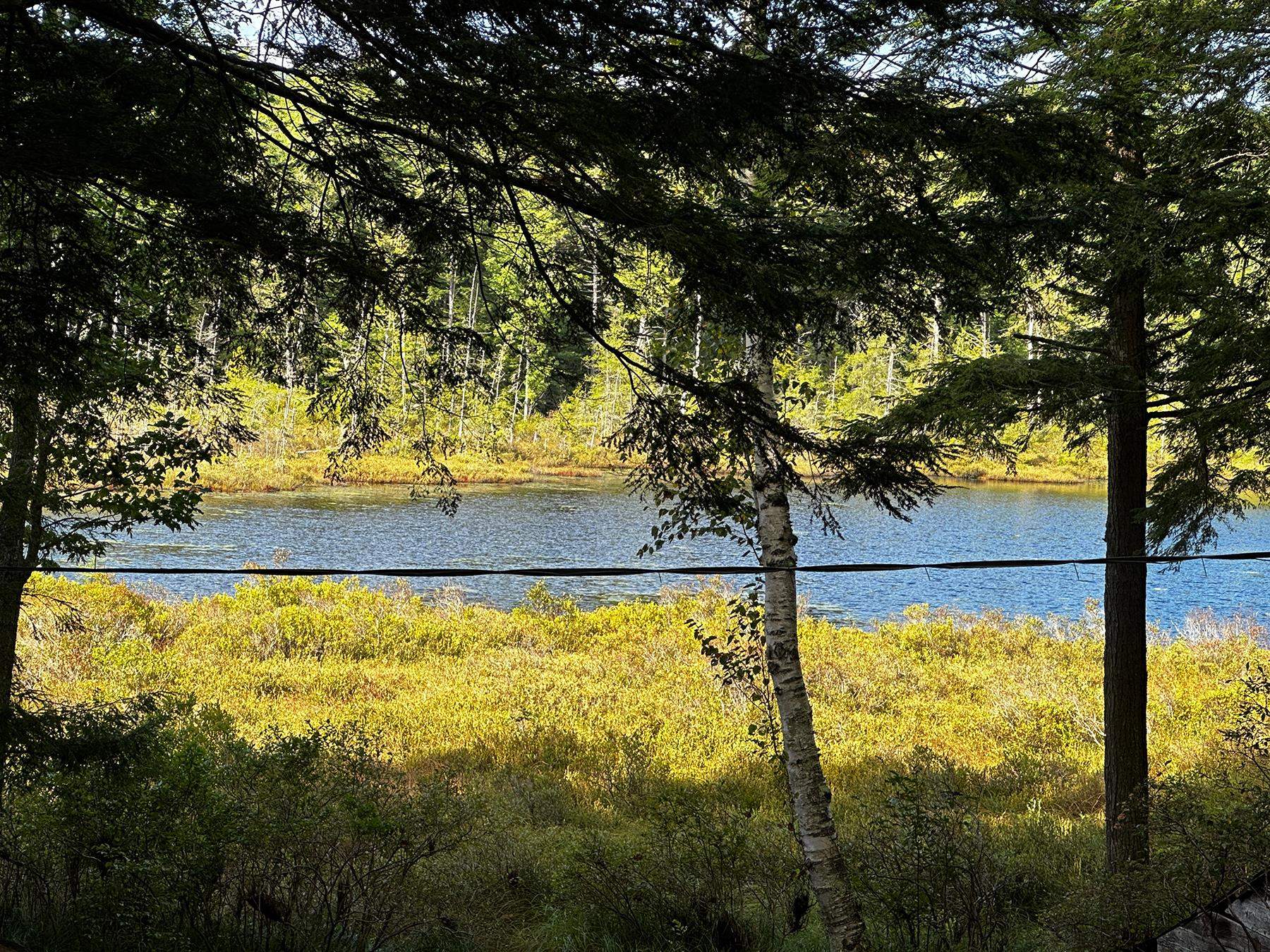 33 Whitney Pond Road