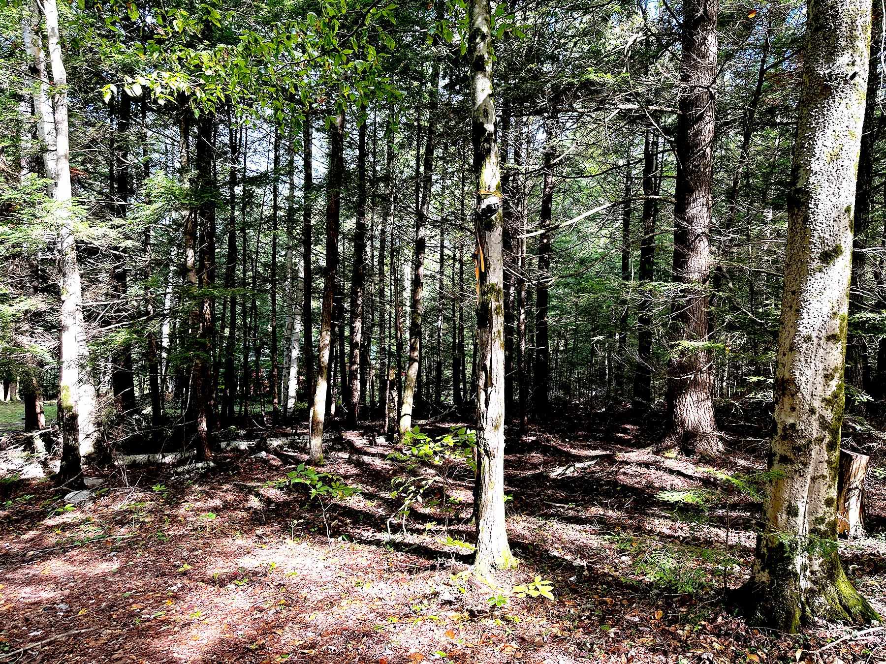 33 Whitney Pond Road