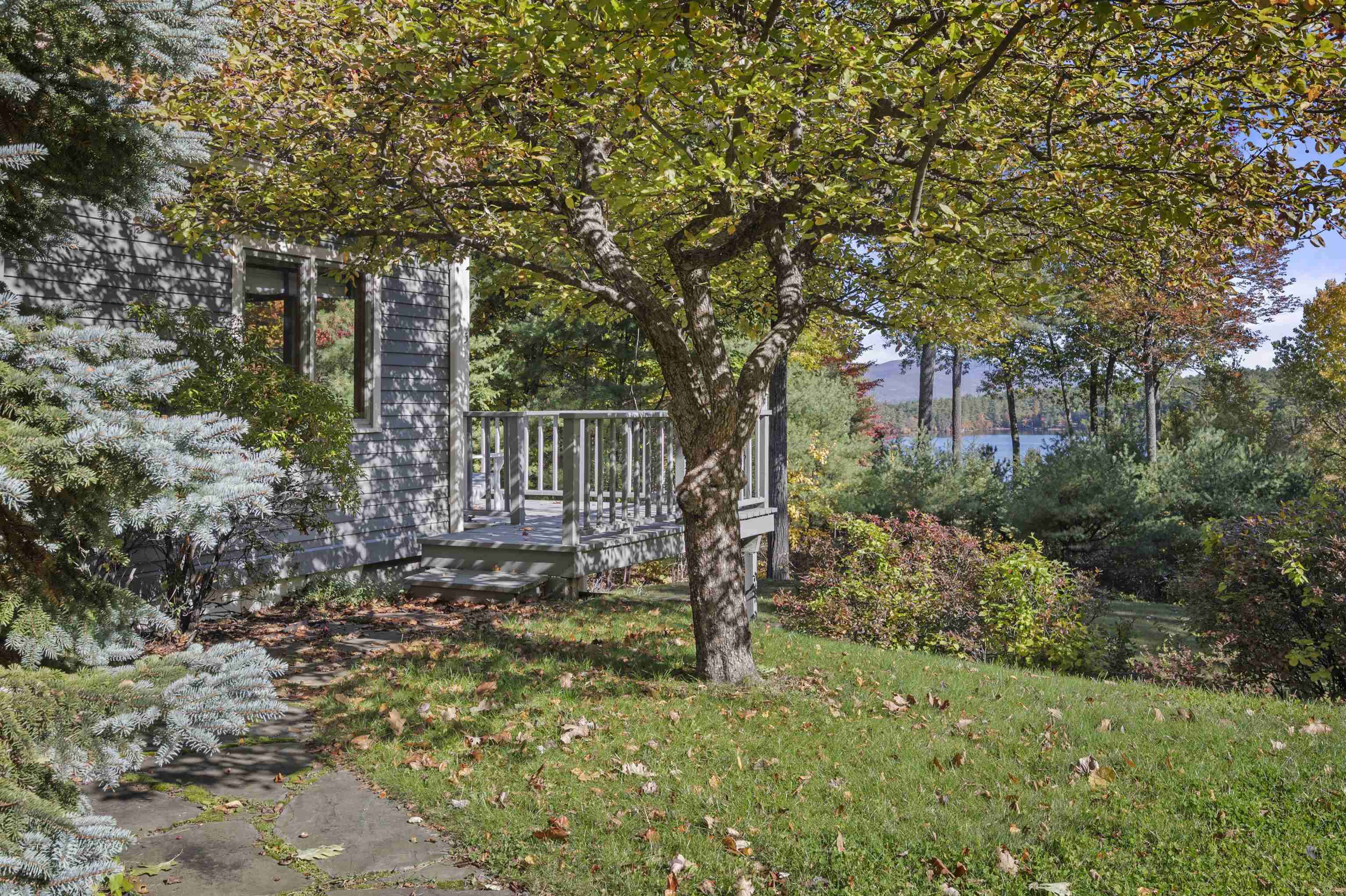 15 Patricia Drive