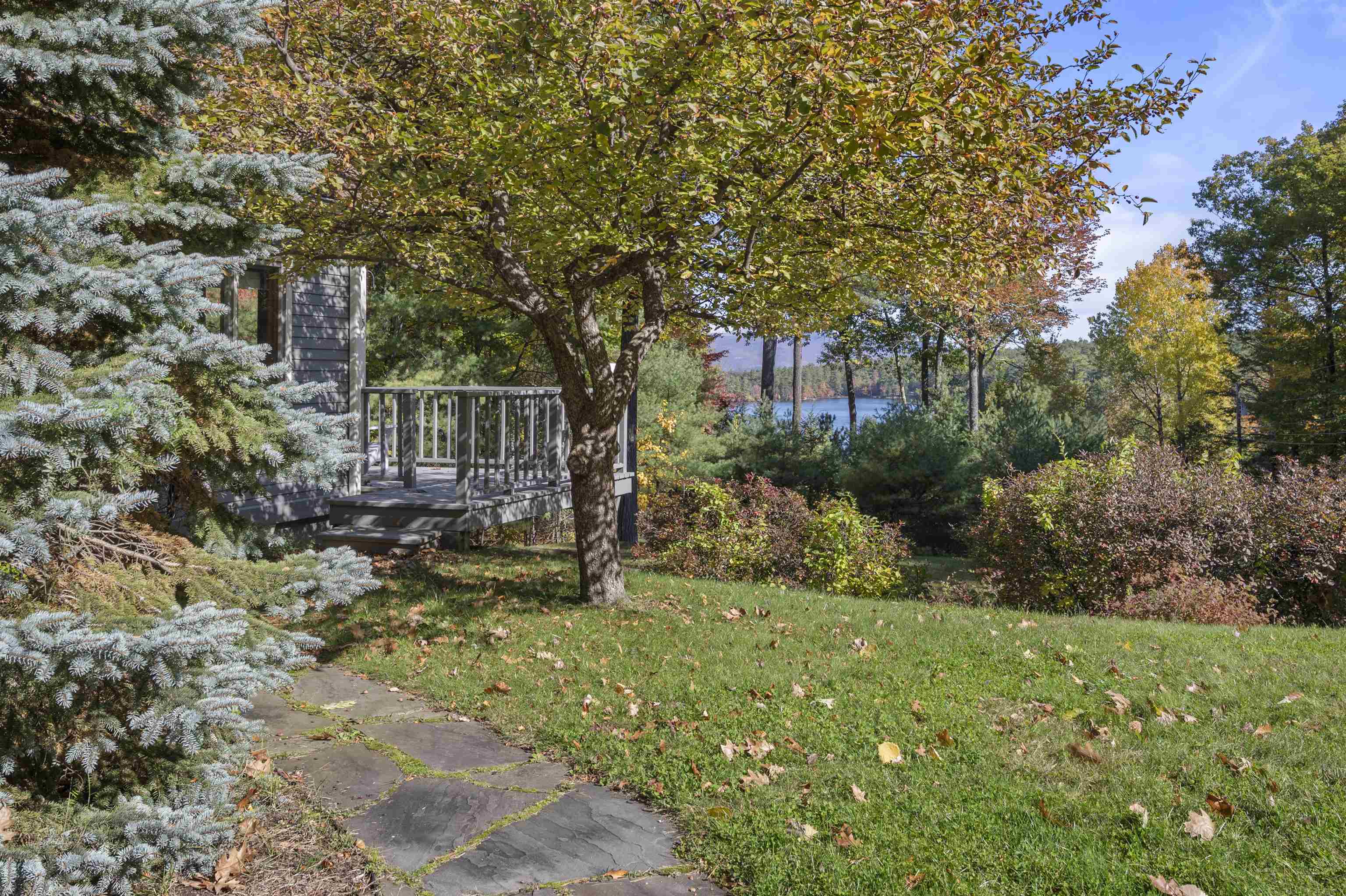 15 Patricia Drive