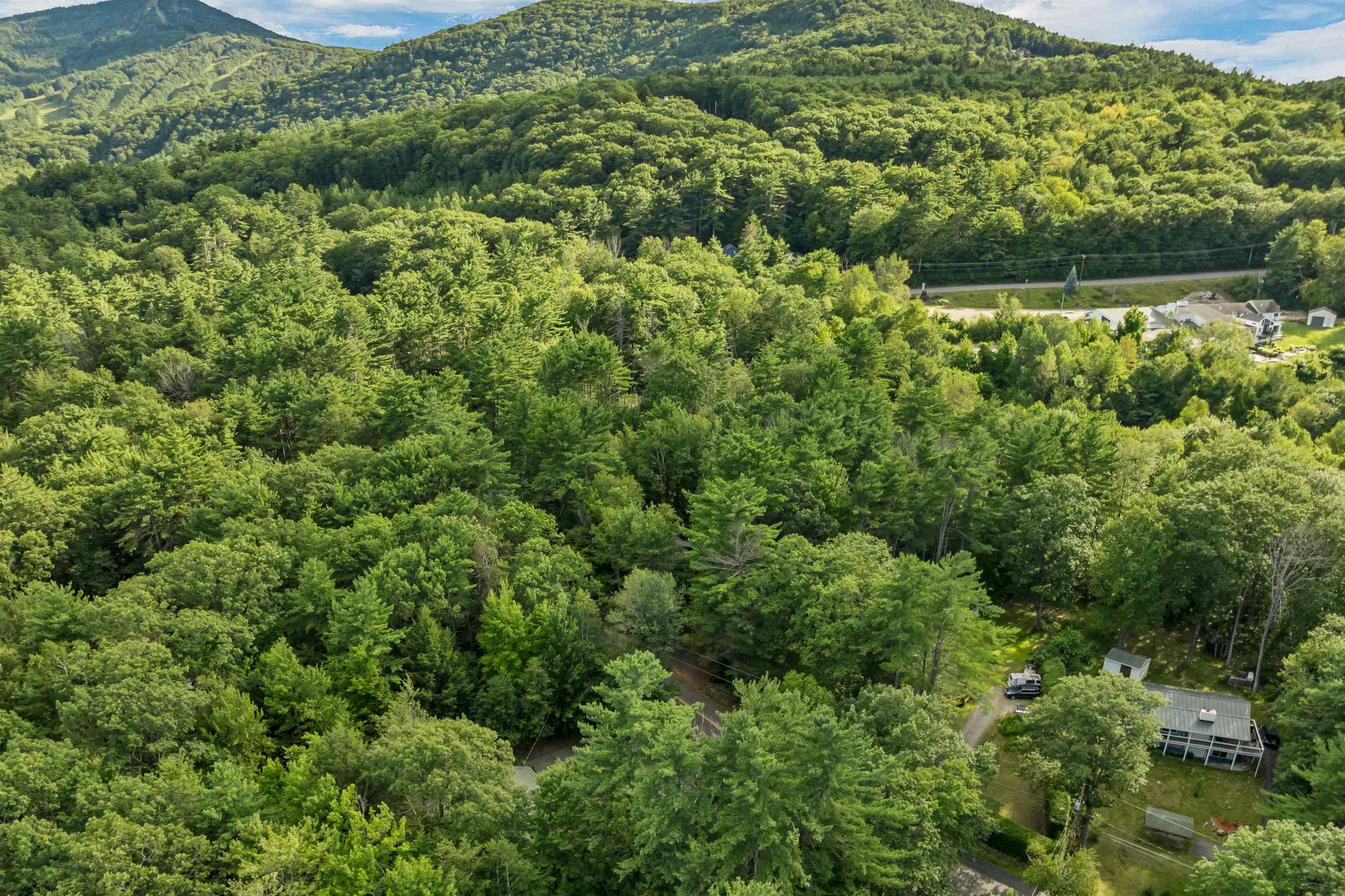 30 White Birch Drive