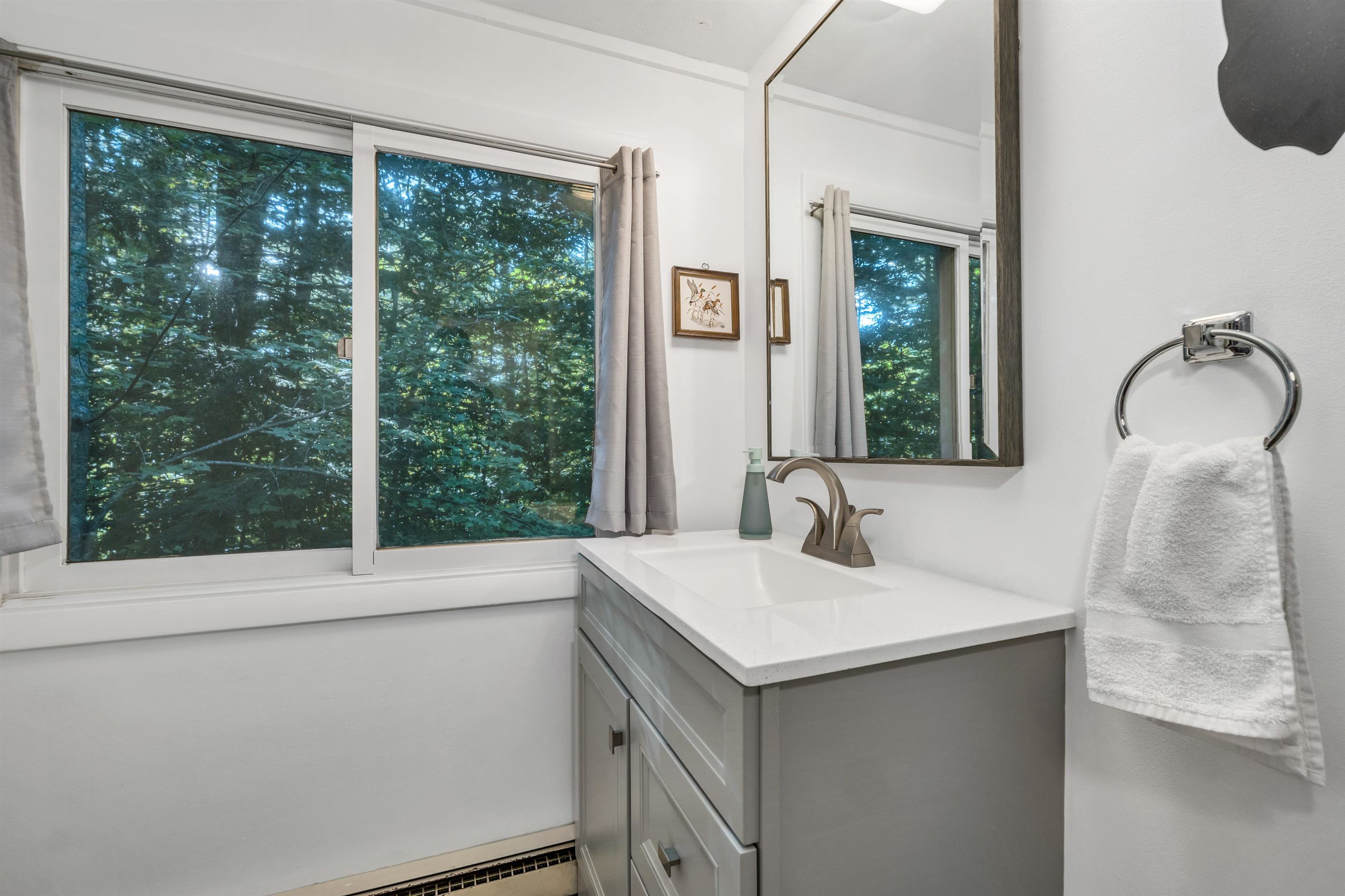 30 White Birch Drive