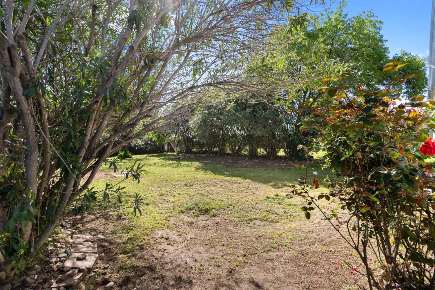 2562 Erickson Street