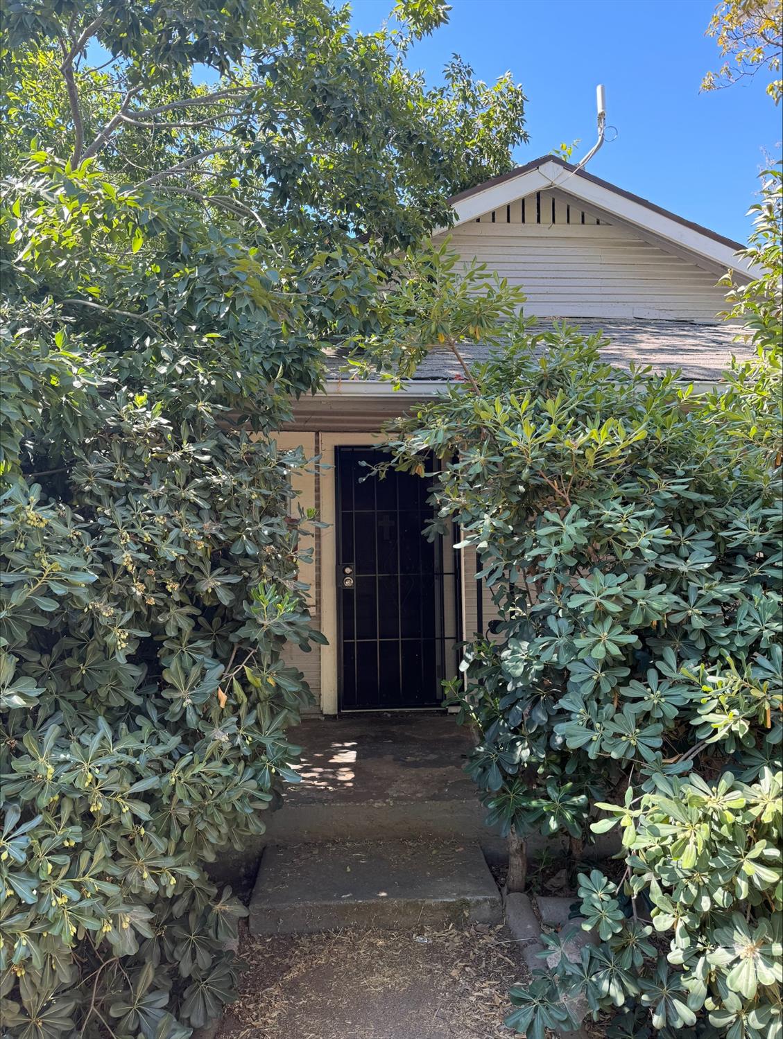 1730 Rosalind Street