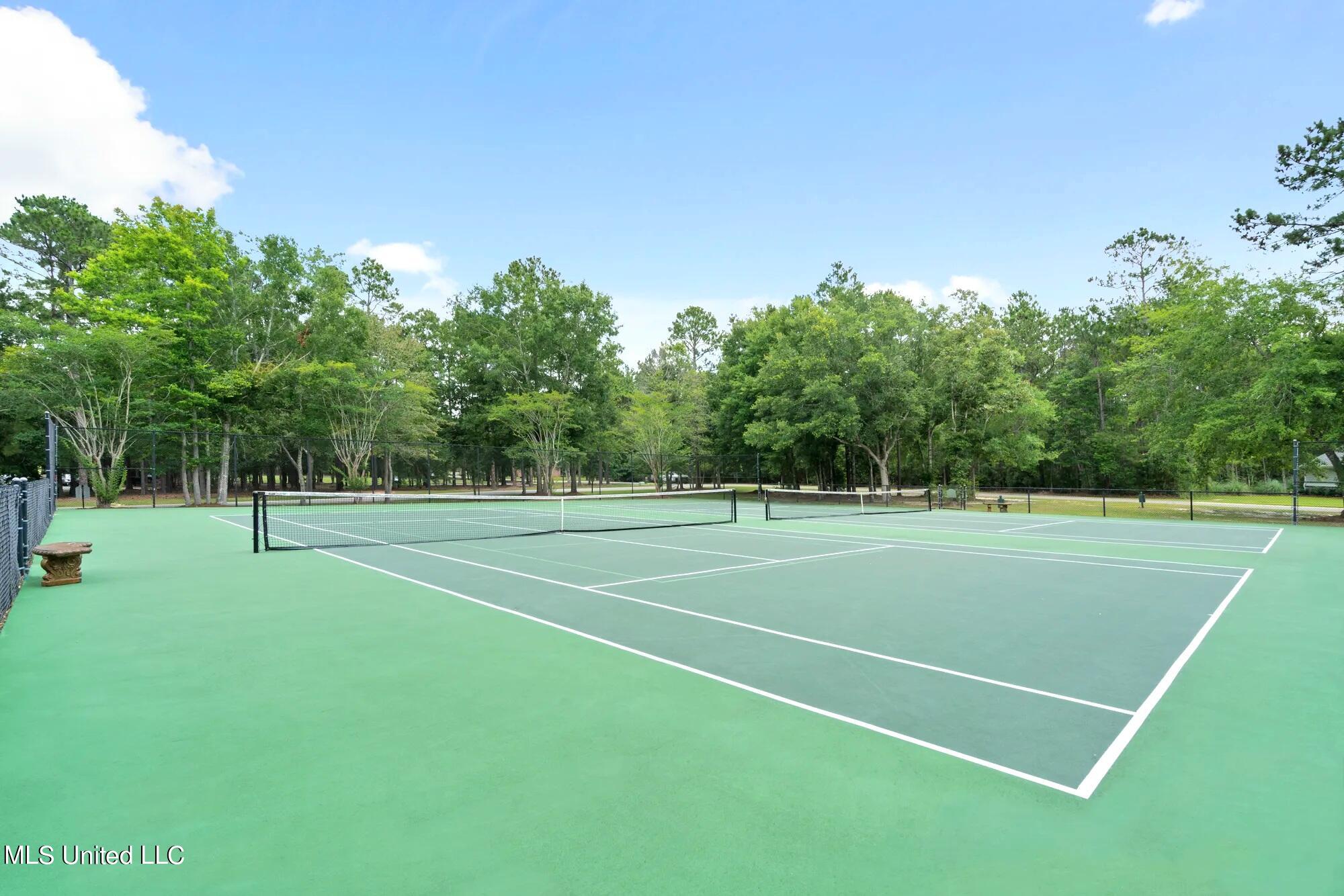 24601 Knollwood Drive