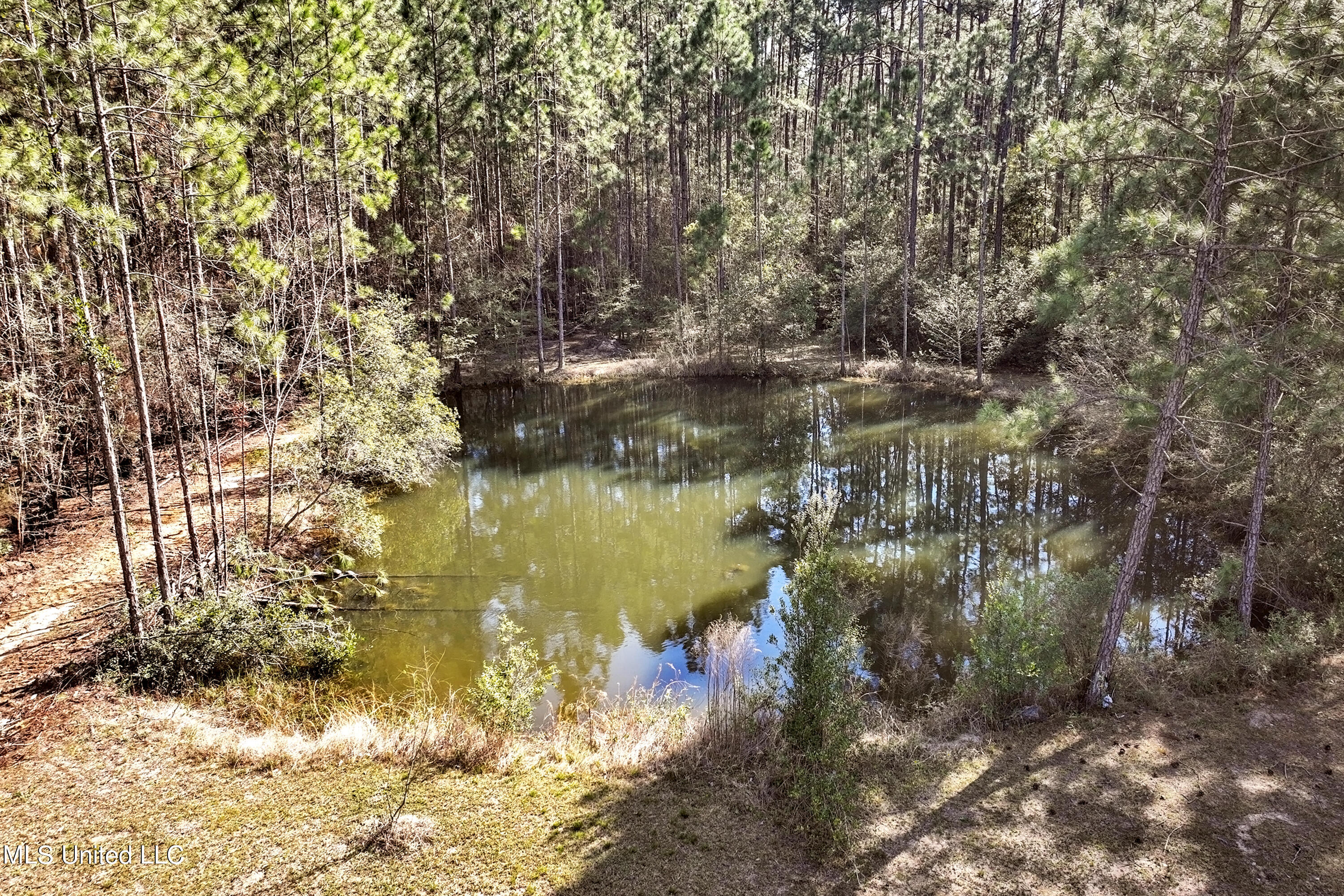 11413 Jim Ramsay Road