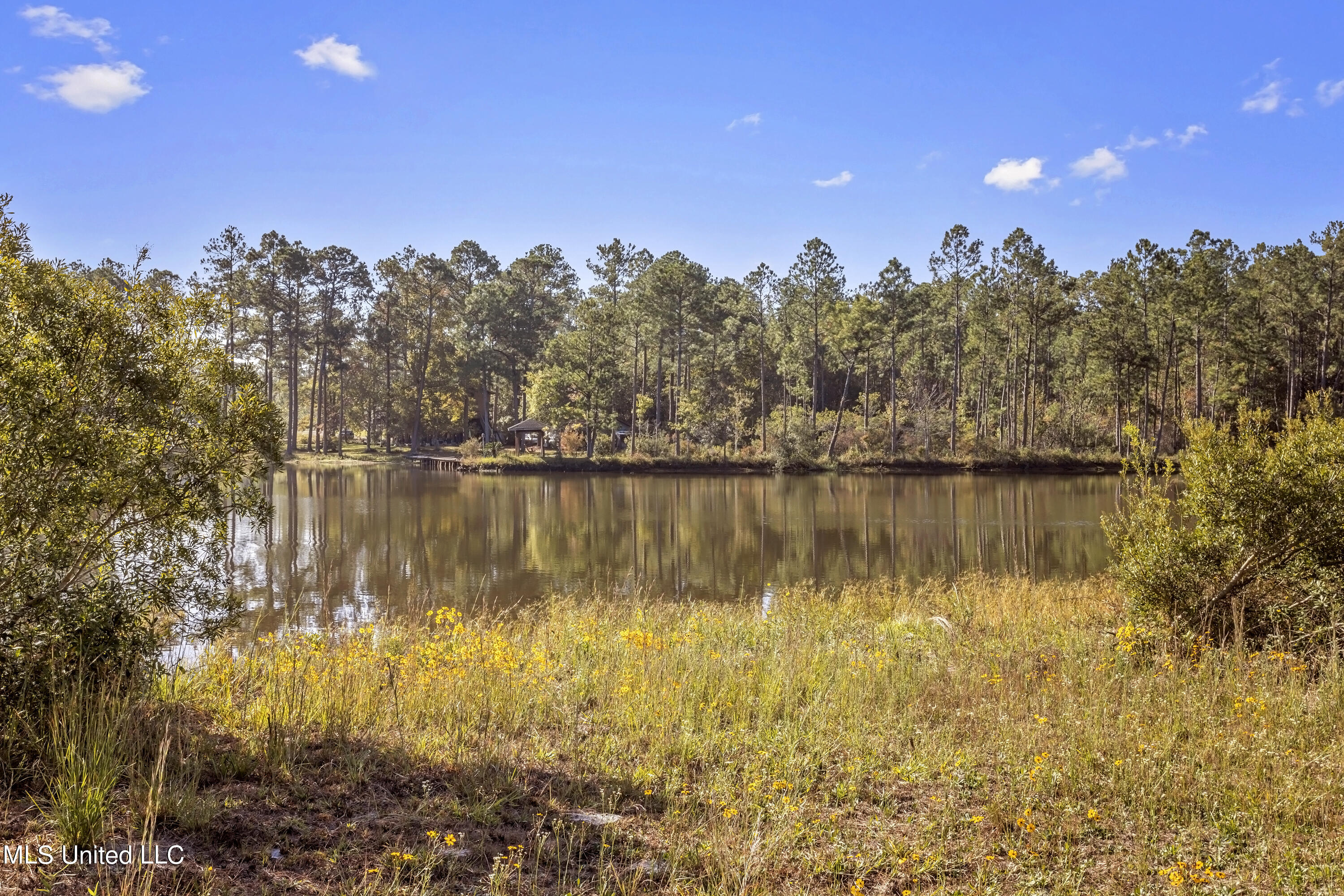 28081 Lake Cypress Drive