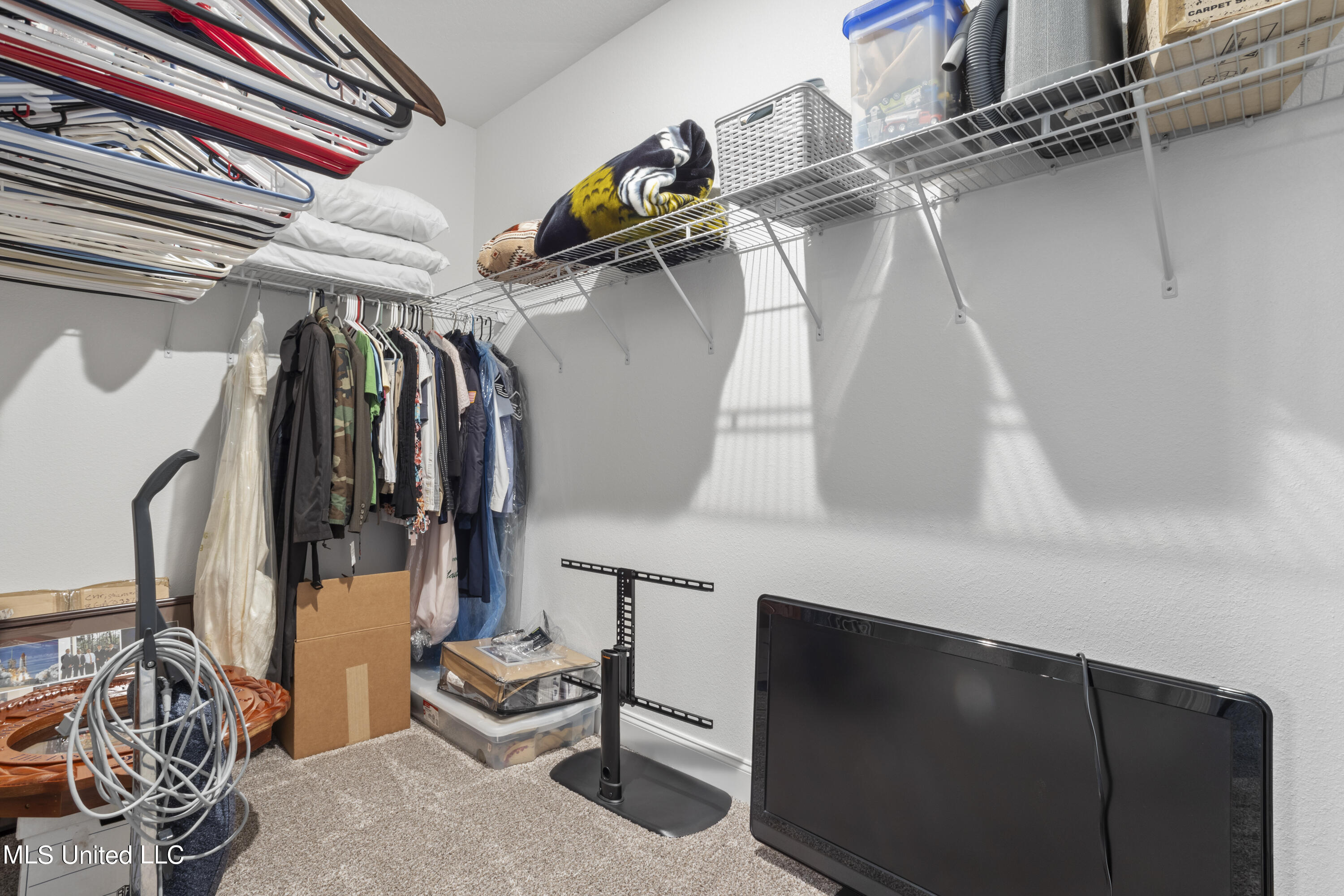 9872 Daisy Vestry Road