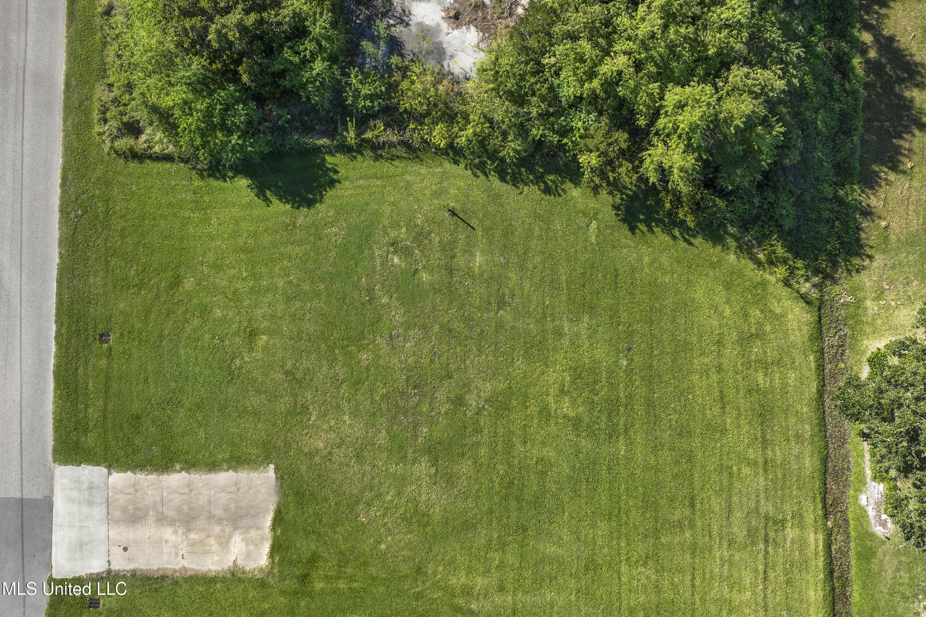 113 Buena Vista Drive