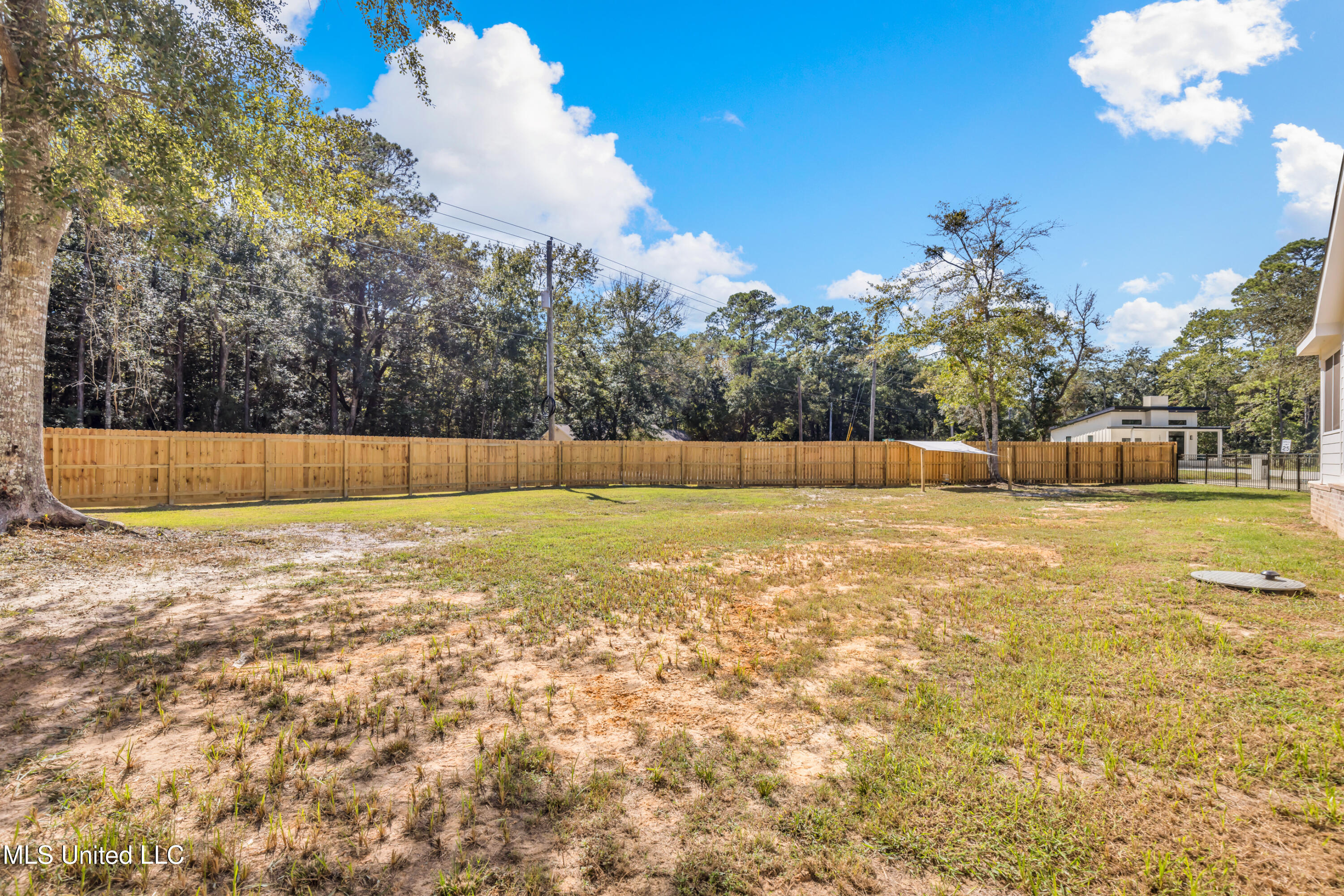 1003 Dorothy Street