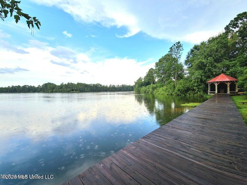12436 Preservation Drive