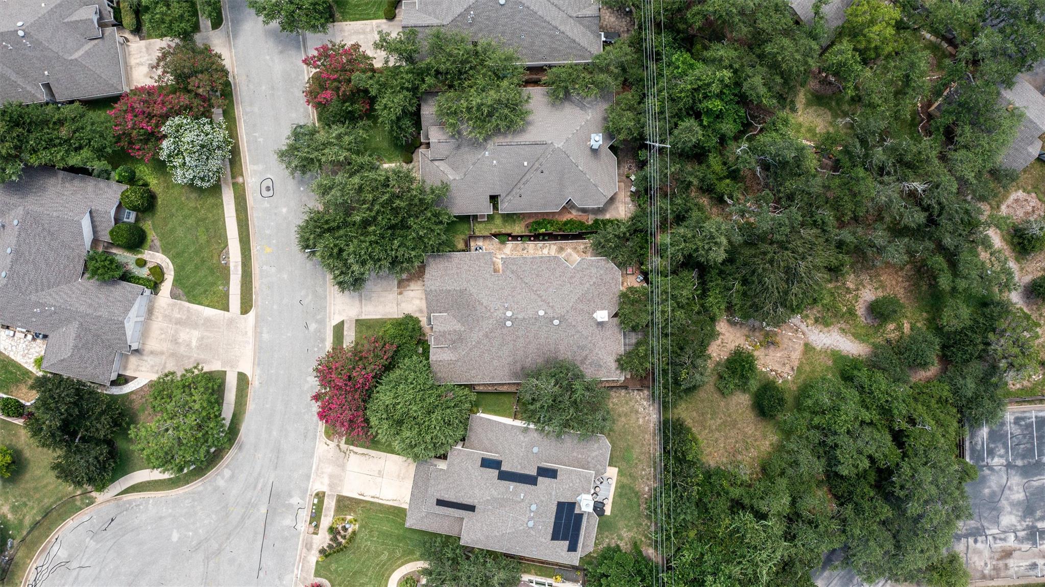 11625 Sweet Basil CT