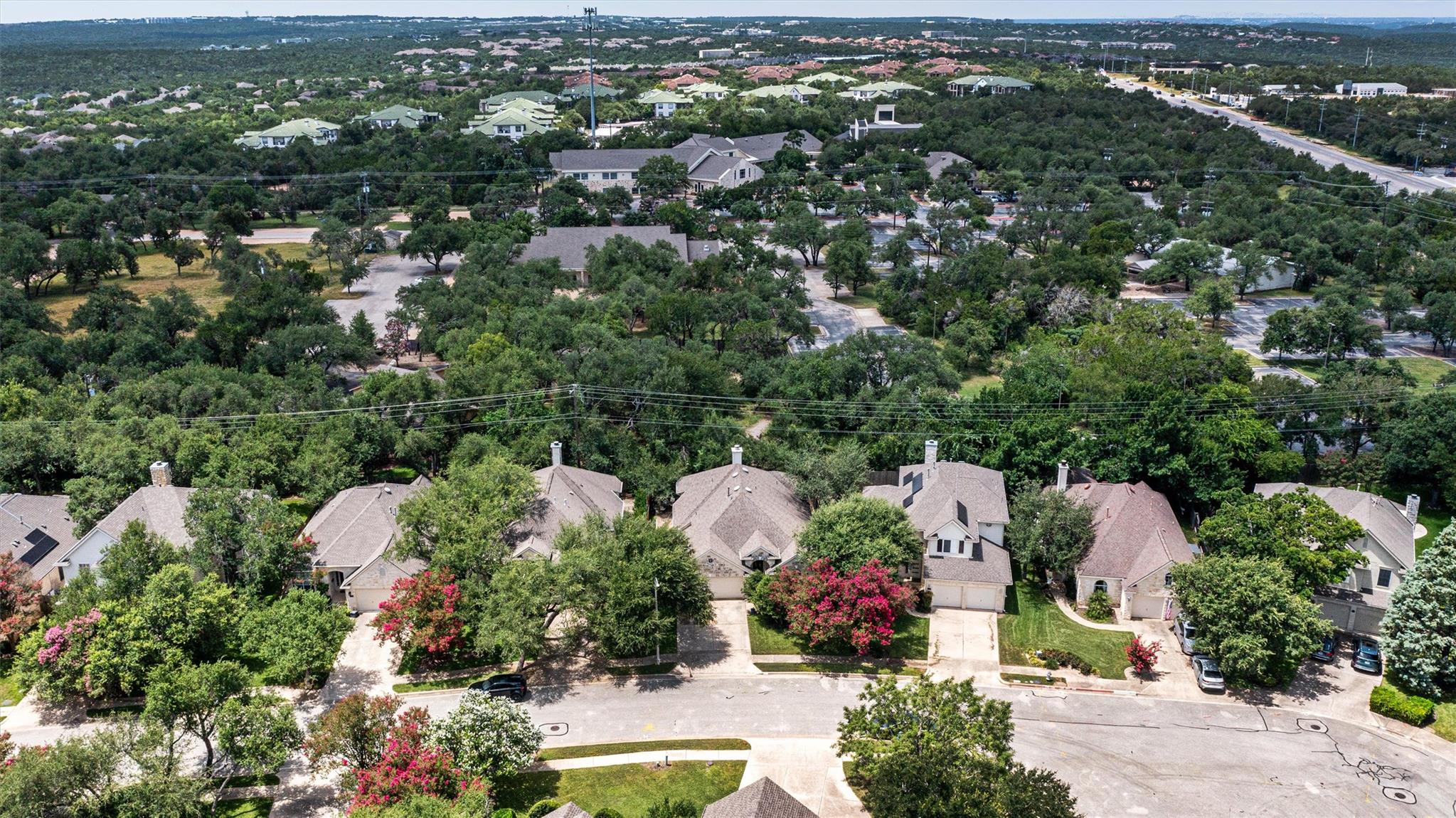 11625 Sweet Basil CT
