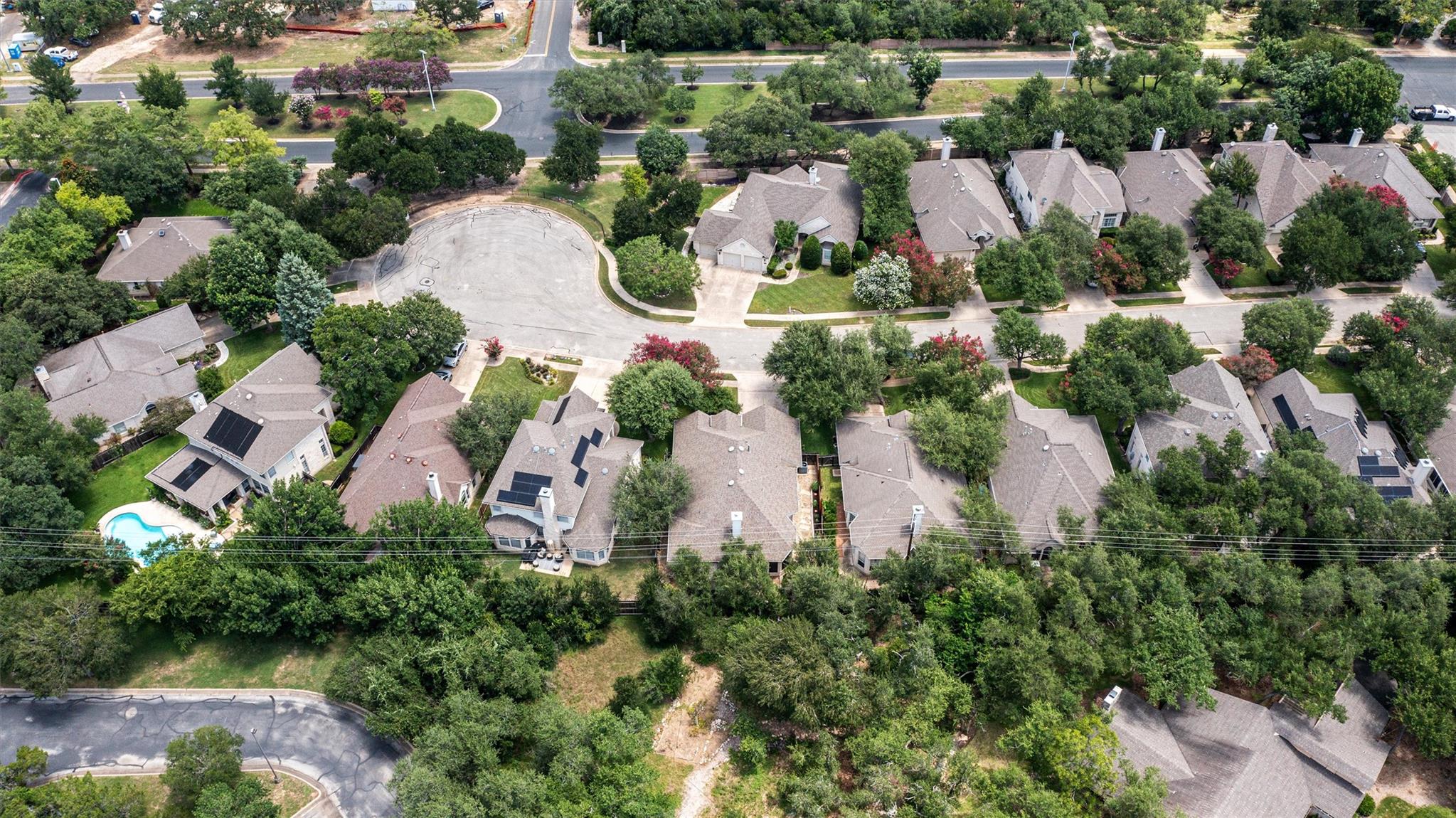 11625 Sweet Basil CT