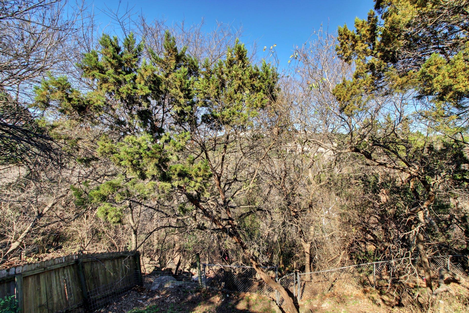 2306 Forest Bend DR