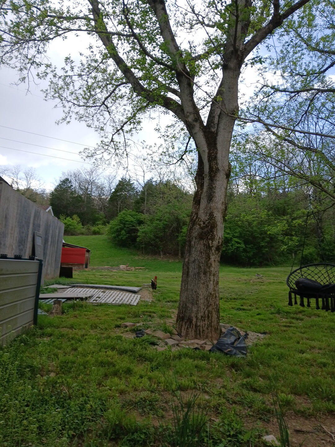 3688 Rector Road