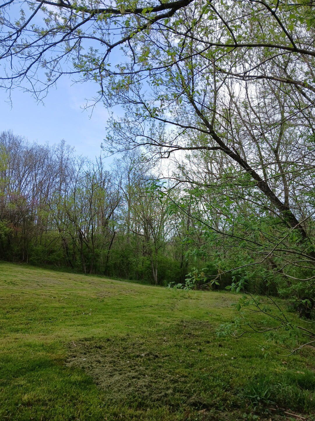 3688 Rector Road