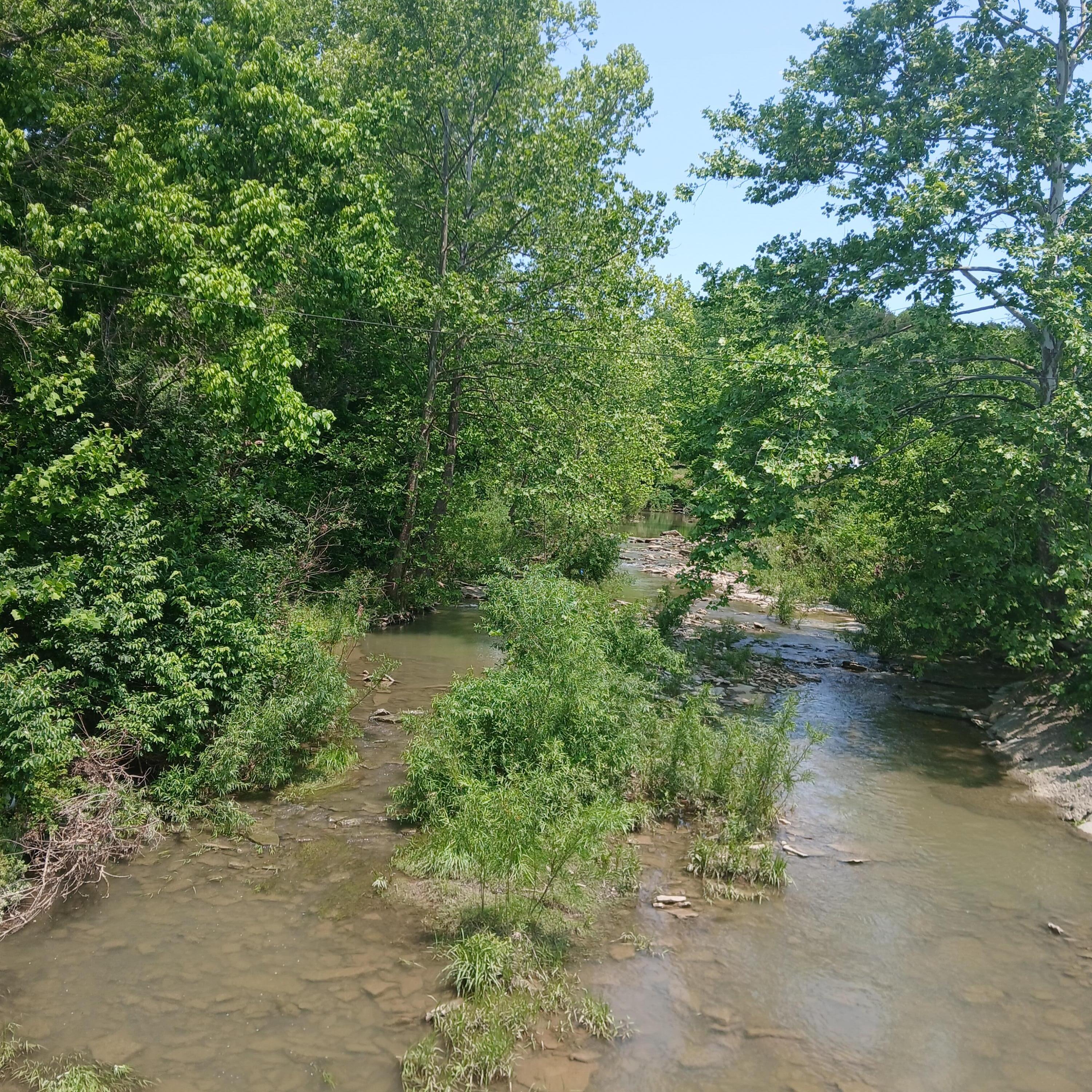 3688 Rector Road