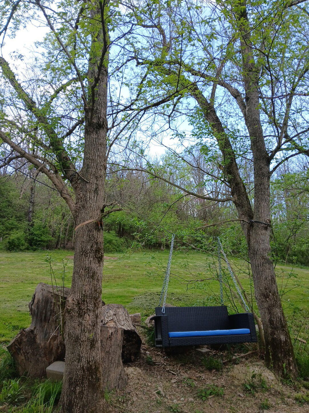 3688 Rector Road