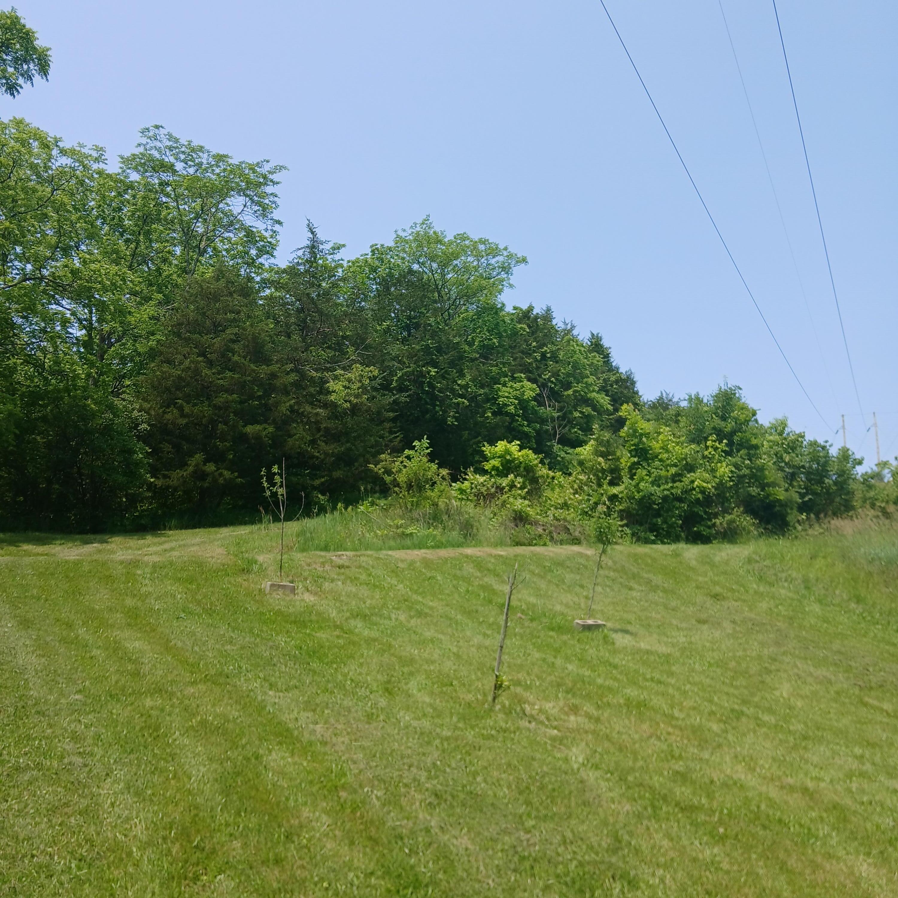 3688 Rector Road