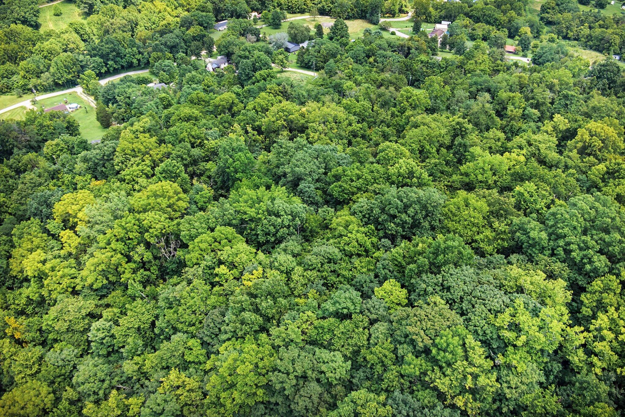 257 S Fork Road